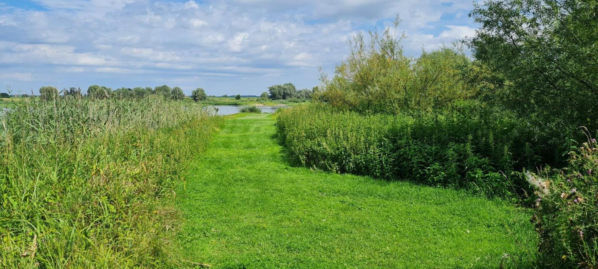 Ferienwohnung An Der Elbe