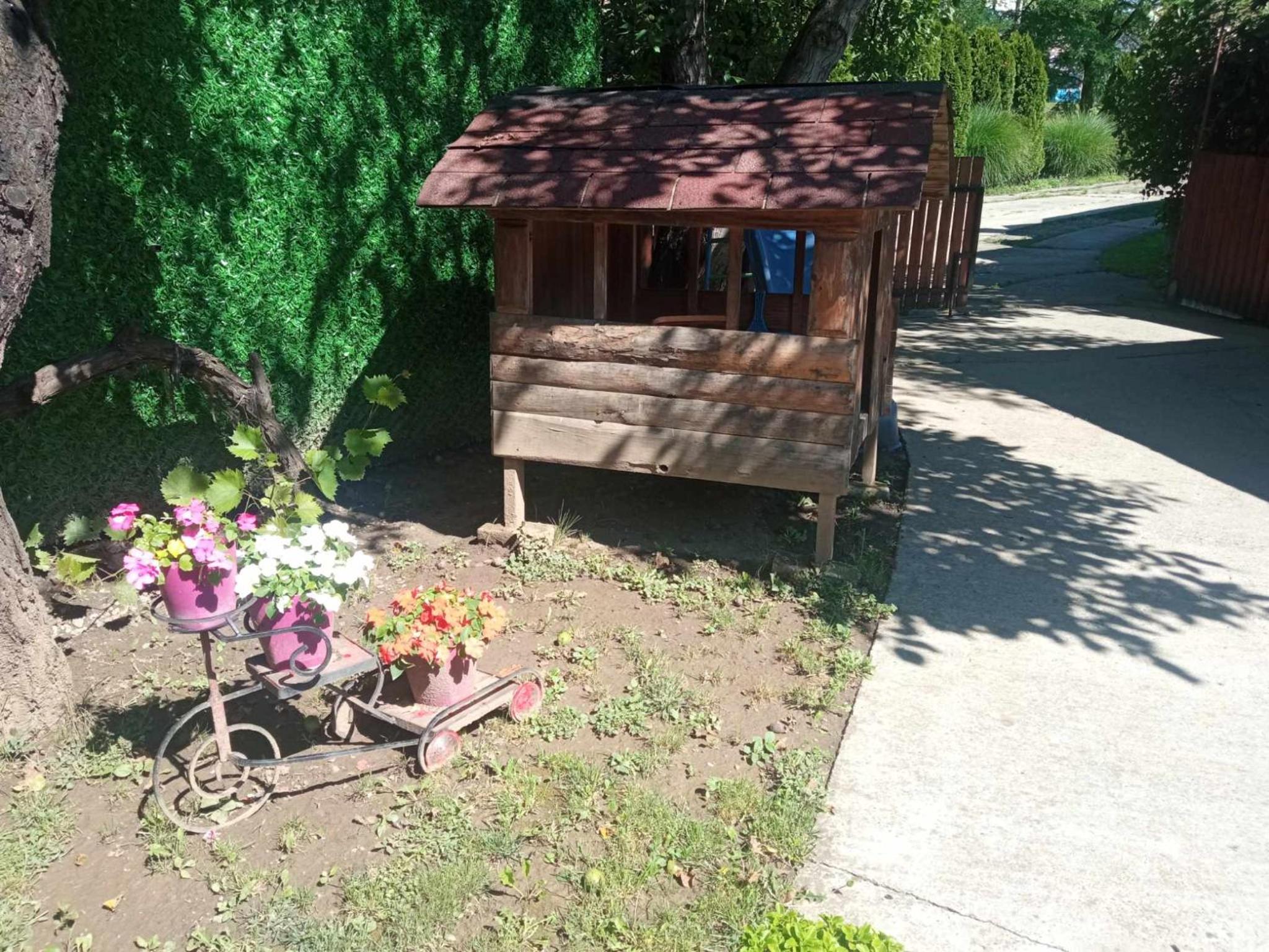 Photo 7