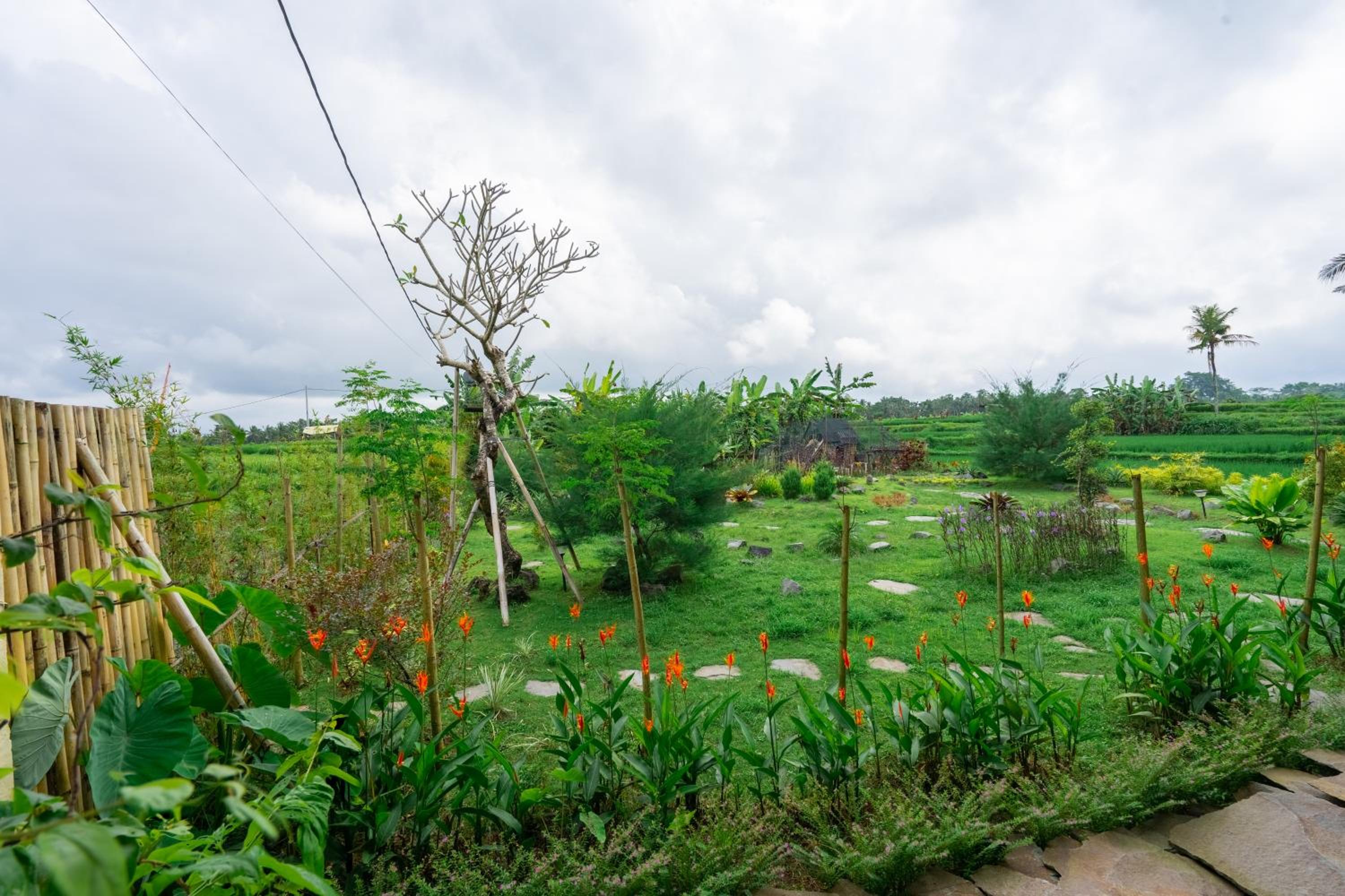 Let's Get Lost Ubud view 5