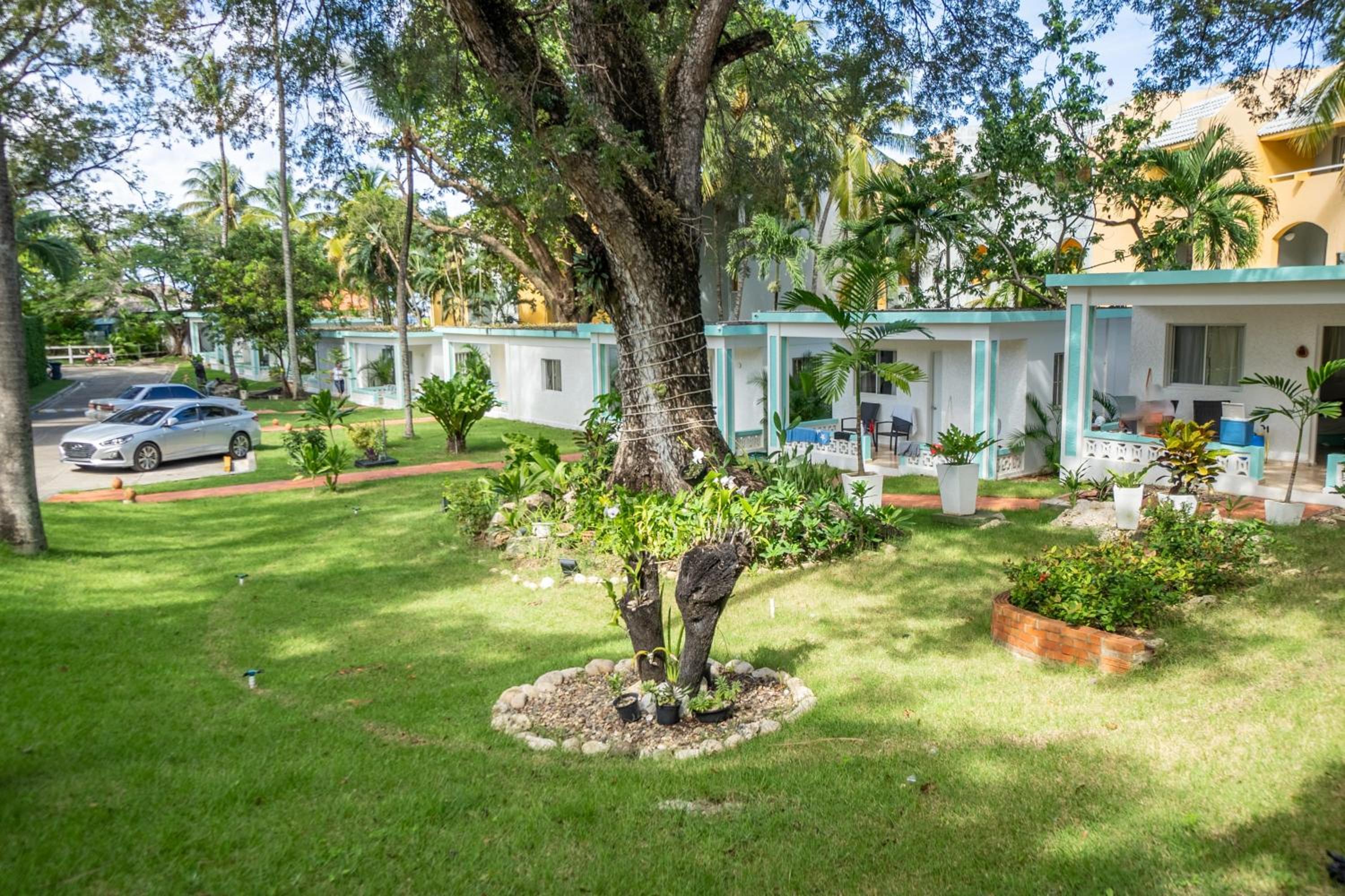 Bungalow #4 at Waterfront Playa Alicia view 3