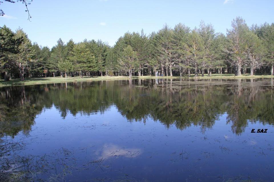 Photo 21