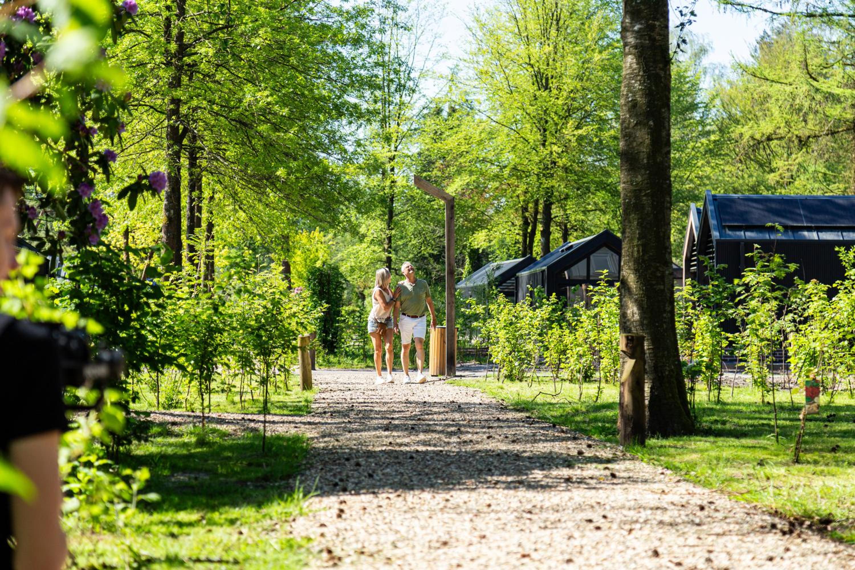 TopParken - Résidence Lage Vuursche view 5