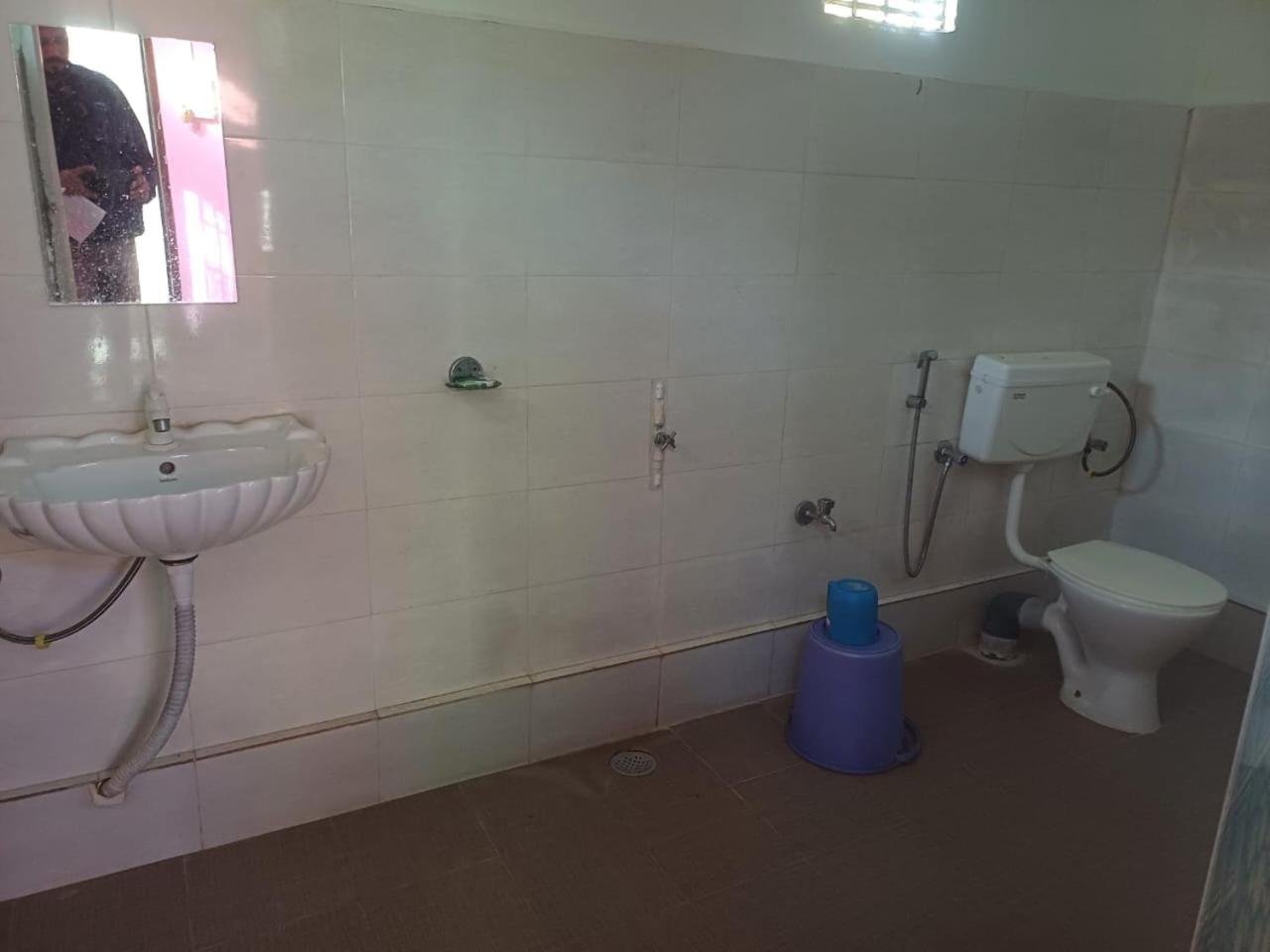 Asomi Manas Ray Homestay view 4