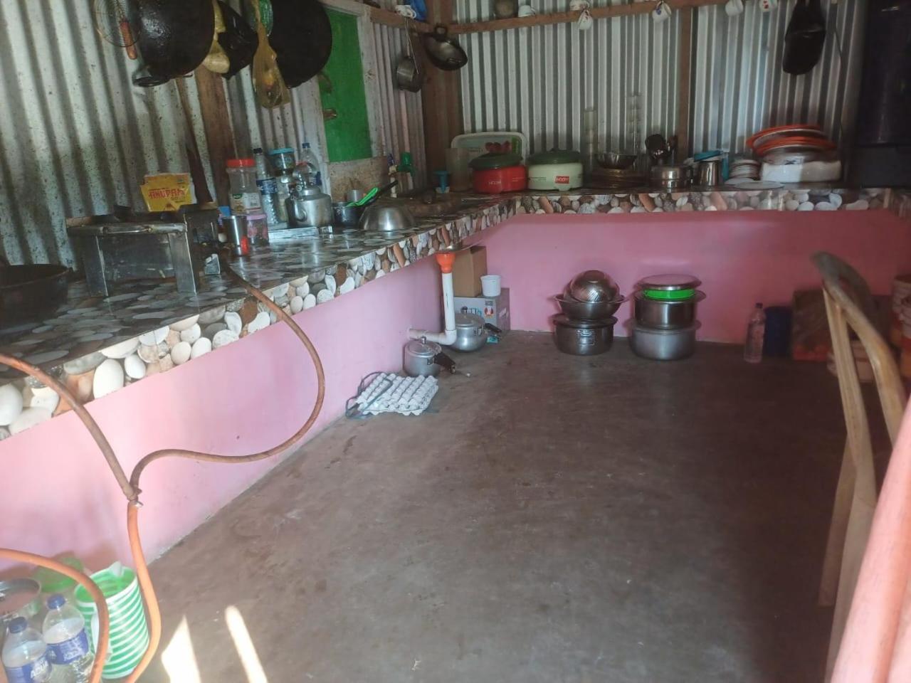 Asomi Manas Ray Homestay view 5