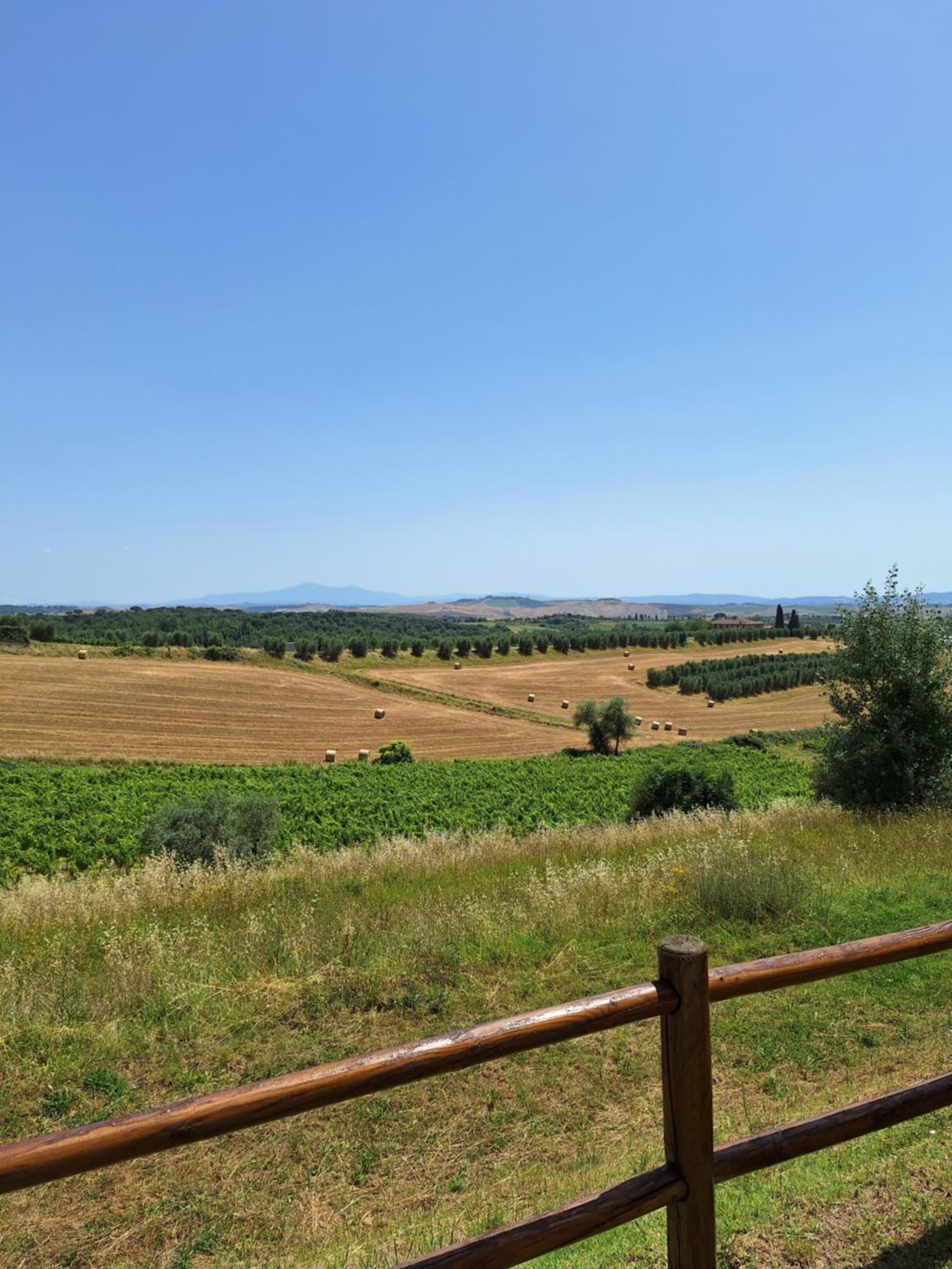 Casa Paola nel Chianti photo 3