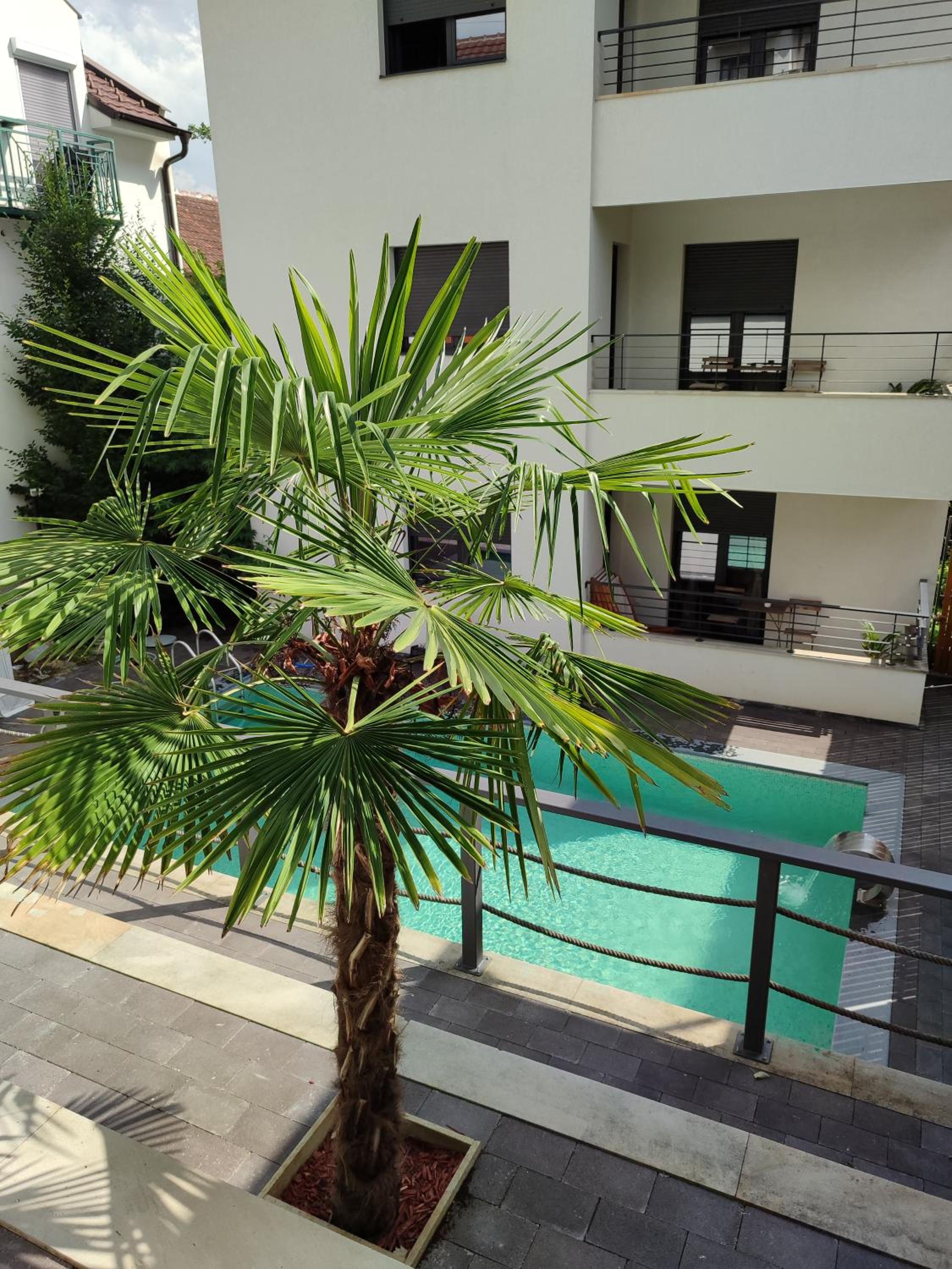 Apartmani Sunny Side Vrnjačke terme-aquapark-besplatan parking