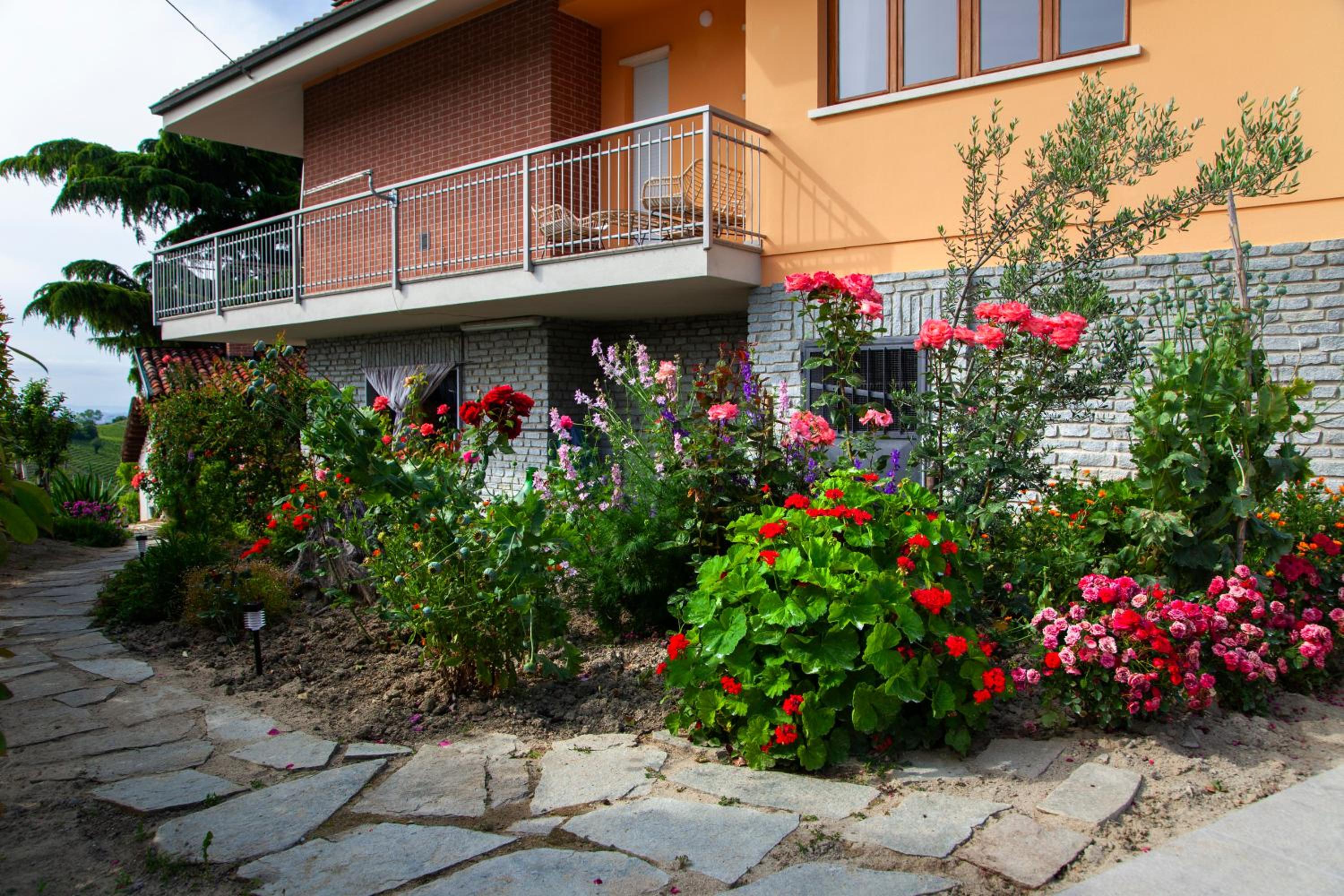 Photo 41