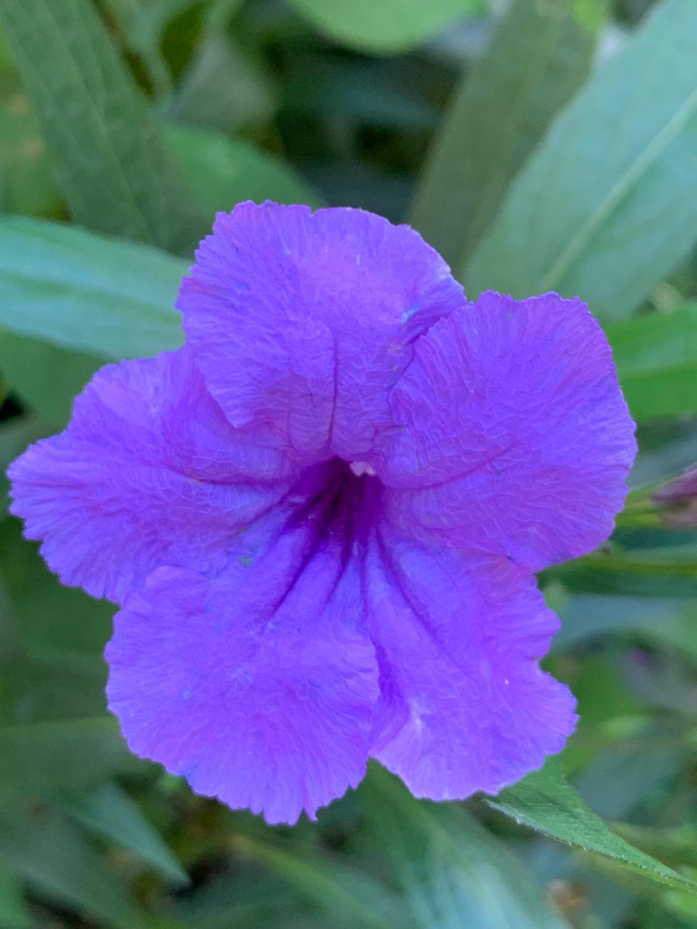 The Voyager lodge photo 5