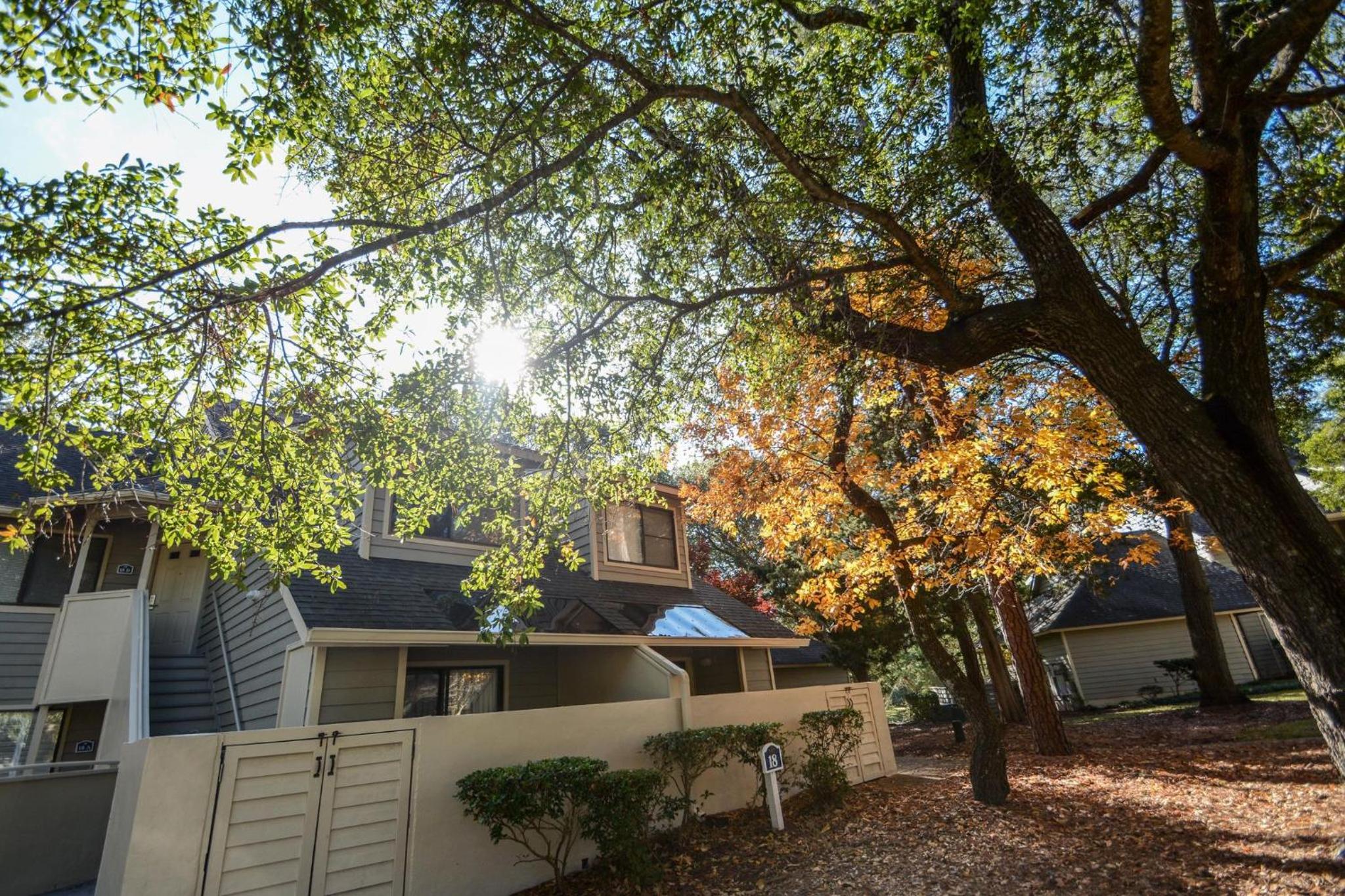 Palmetto Vacation Rentals at Kingston Plantation view 2