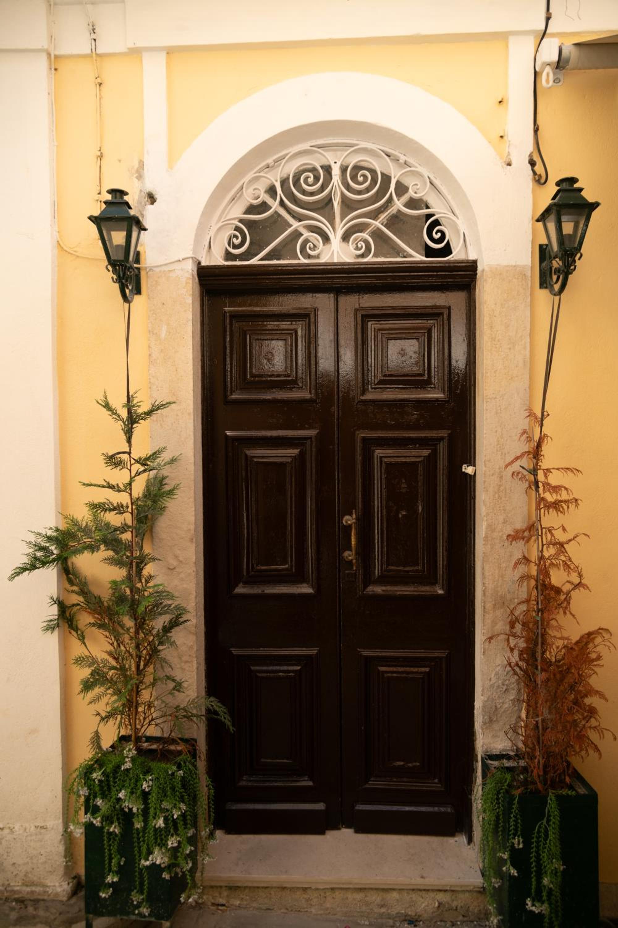 Kosi Suites, photo 23