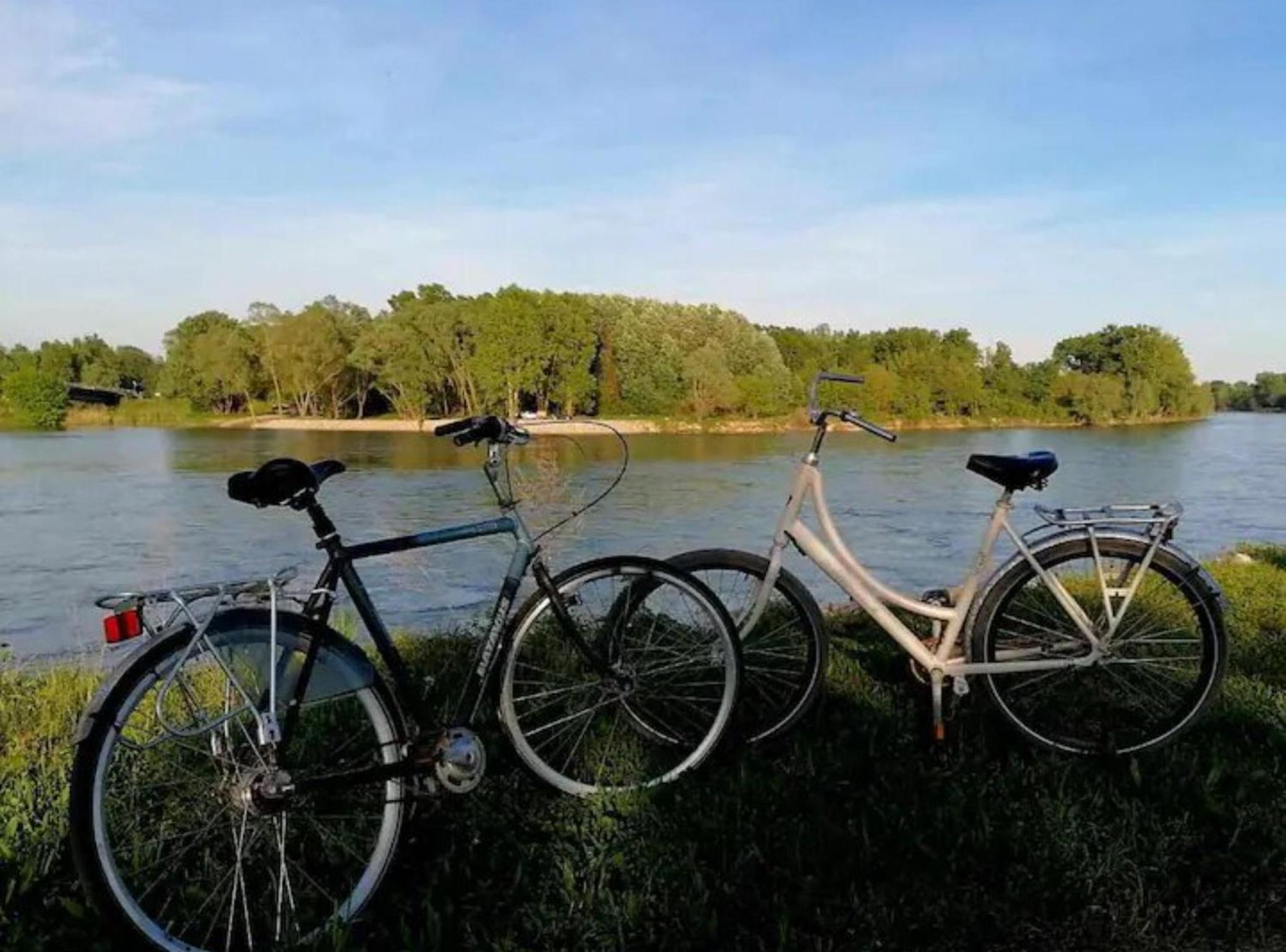 Holiday Home Drava Life view 5