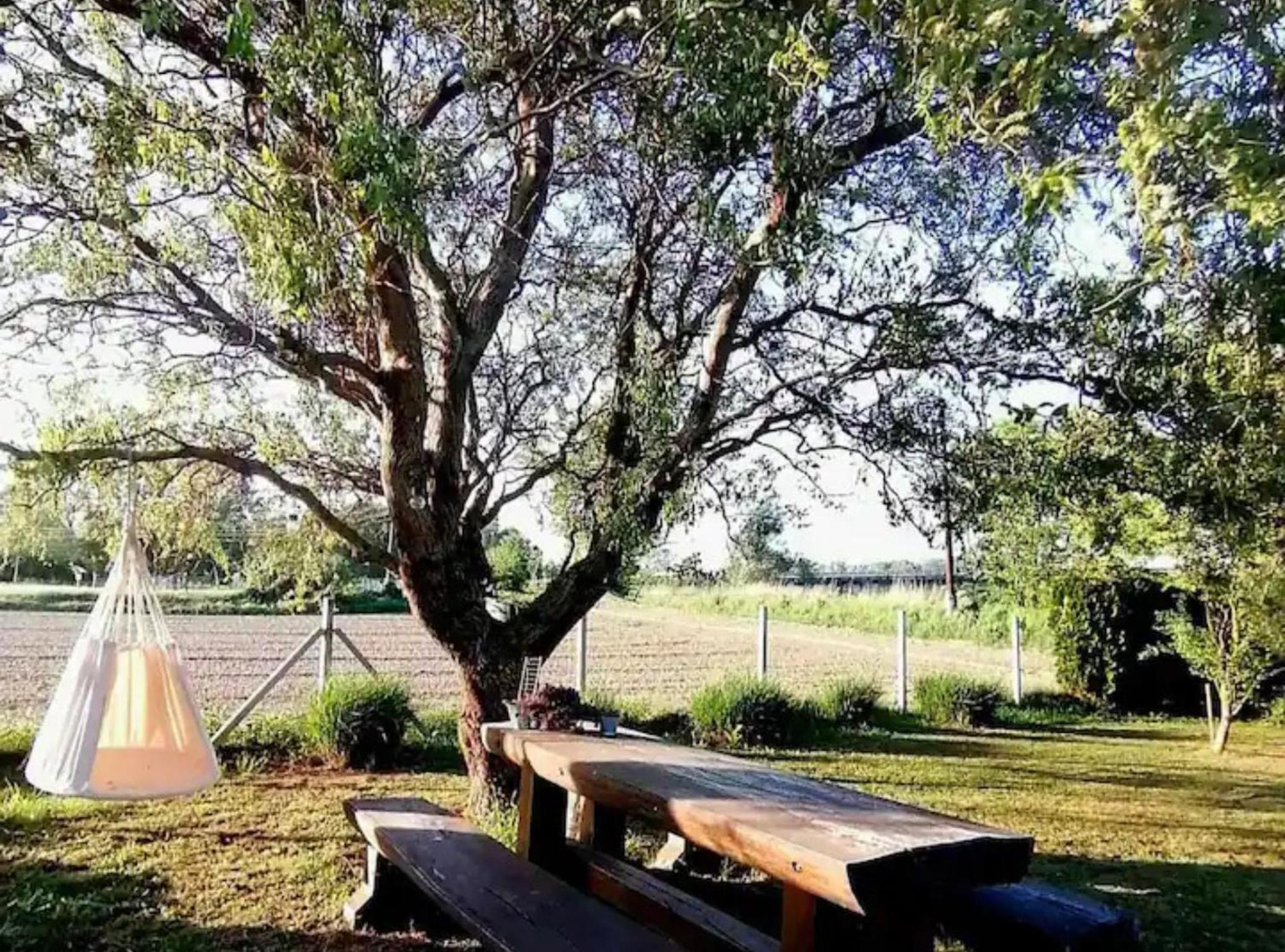 Holiday Home Drava Life view 2