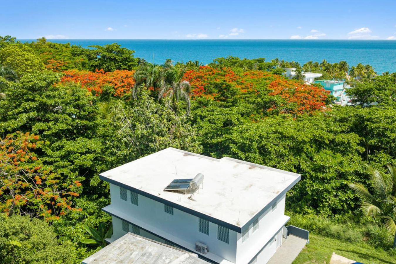 Casa Al Mare Estate- 3 units 4 minutes walk to Sandy Beach view 5