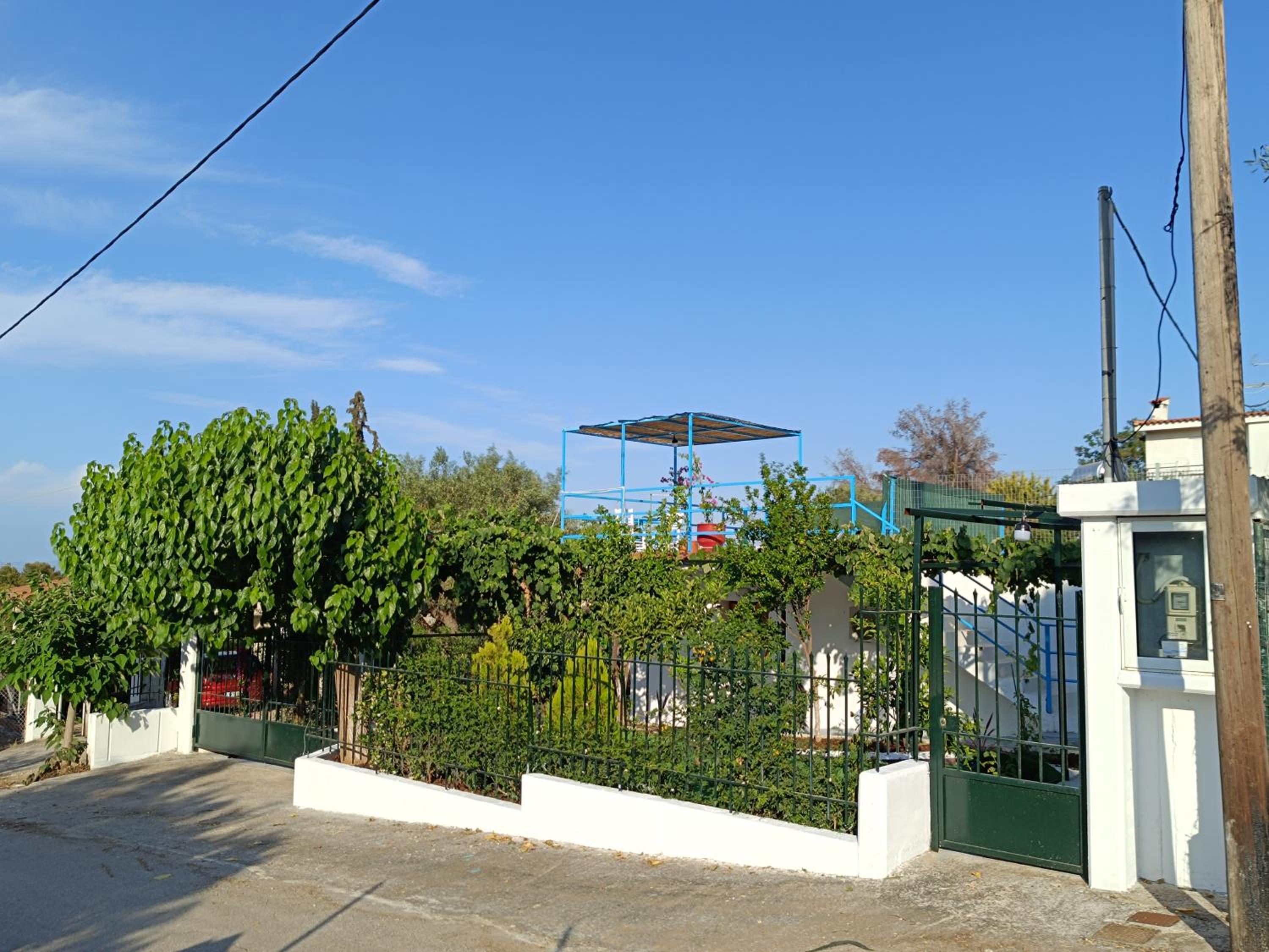 Photo 25