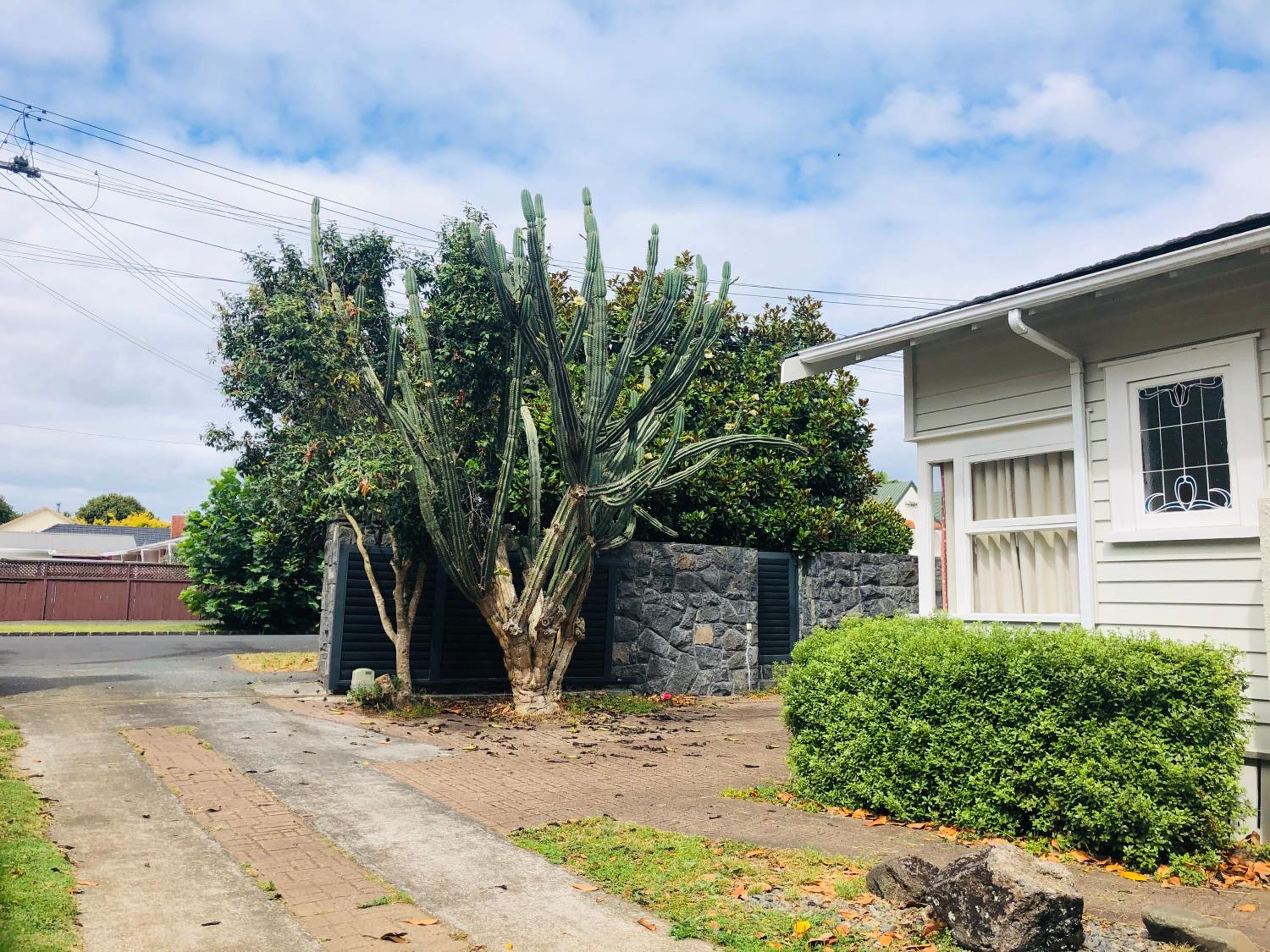 Cozy 5 bedrooms house 7 Rangiatea Road, Epsom view 2