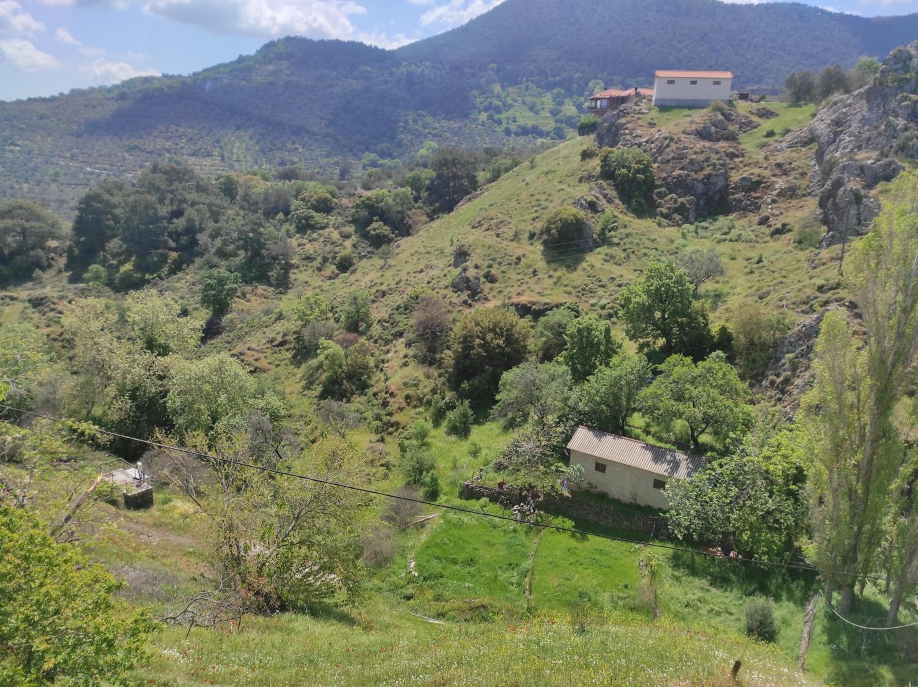 LAFION HOUSE