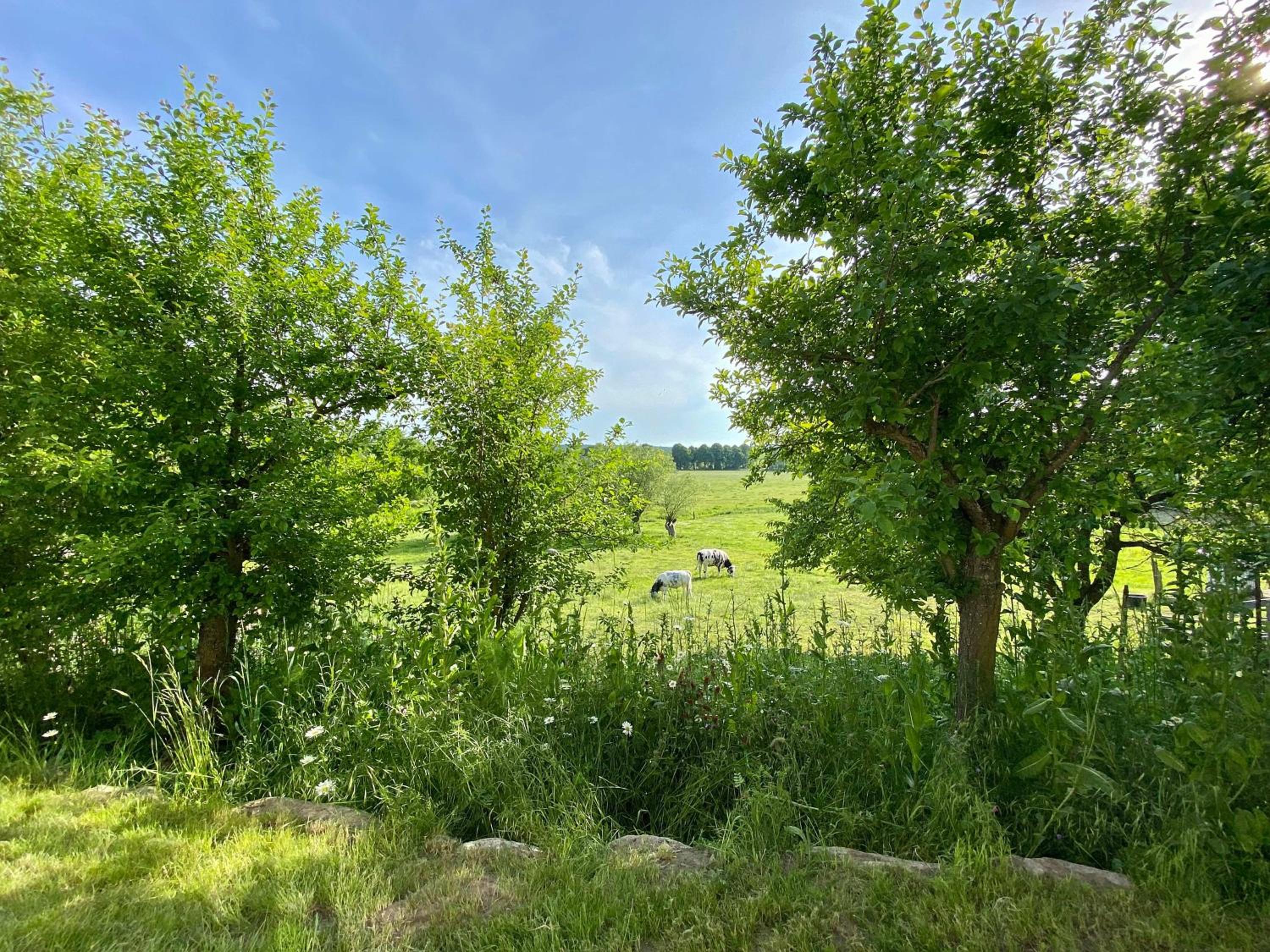 Haus Windfee Fewo 1 view 3