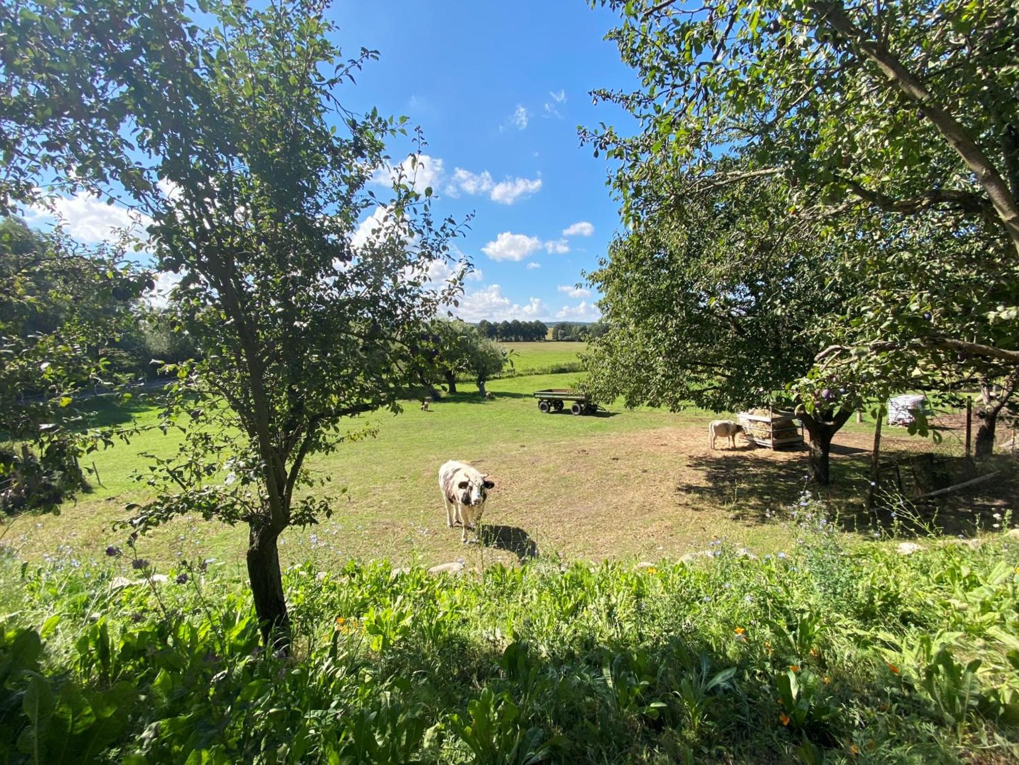 Haus Windfee Fewo 1 view 4
