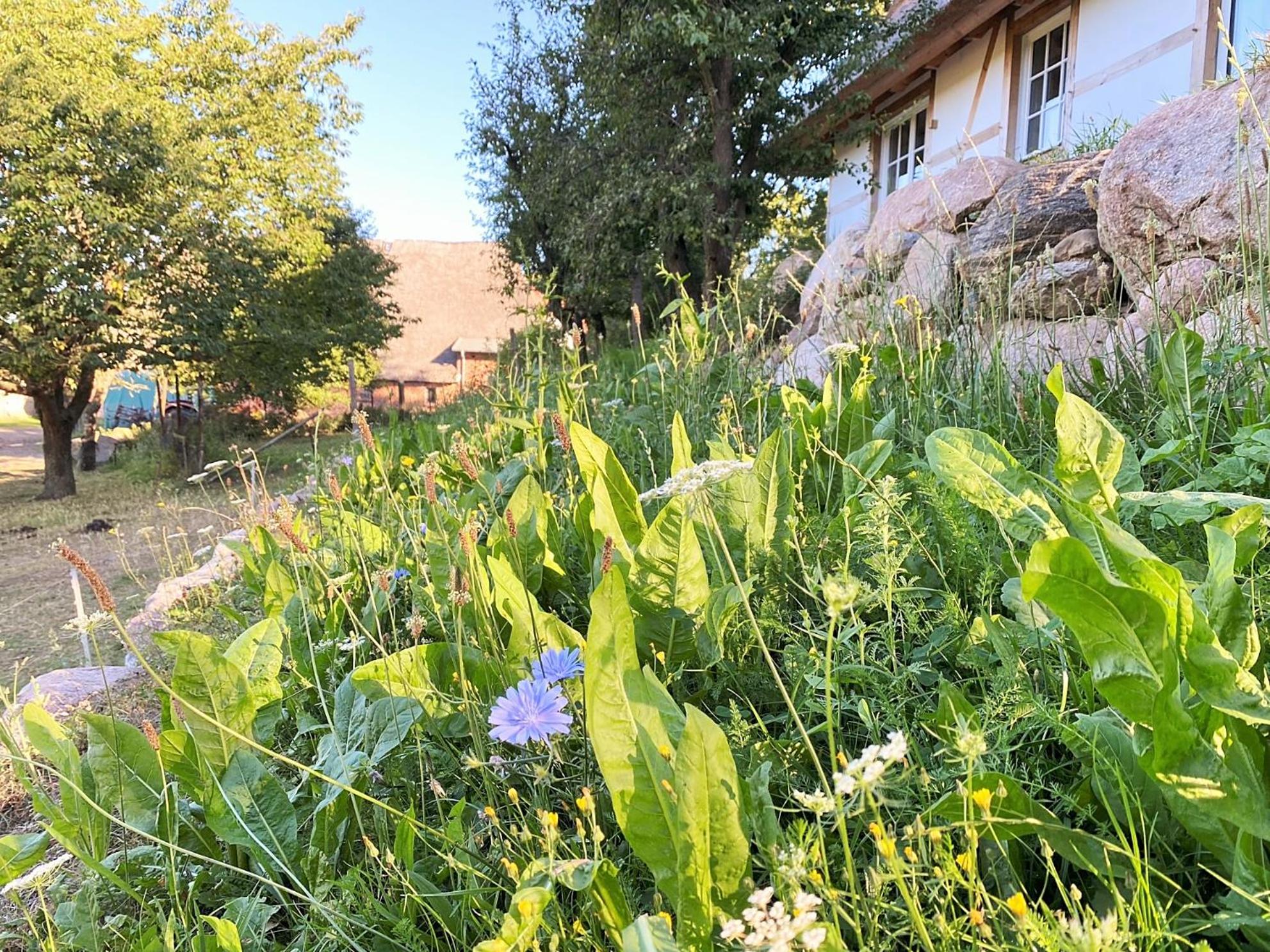 Haus Windfee Fewo 1 view 5
