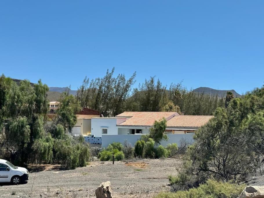 Casa Palmera