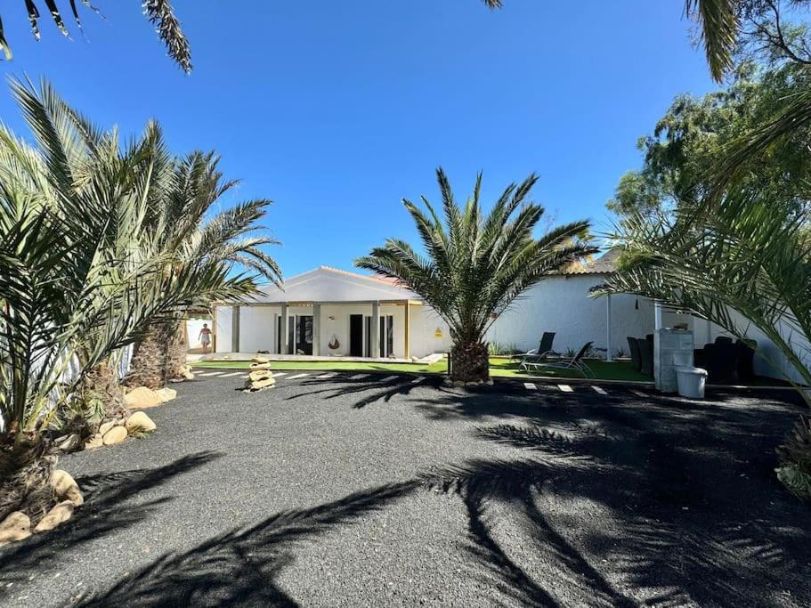 Casa Palmera