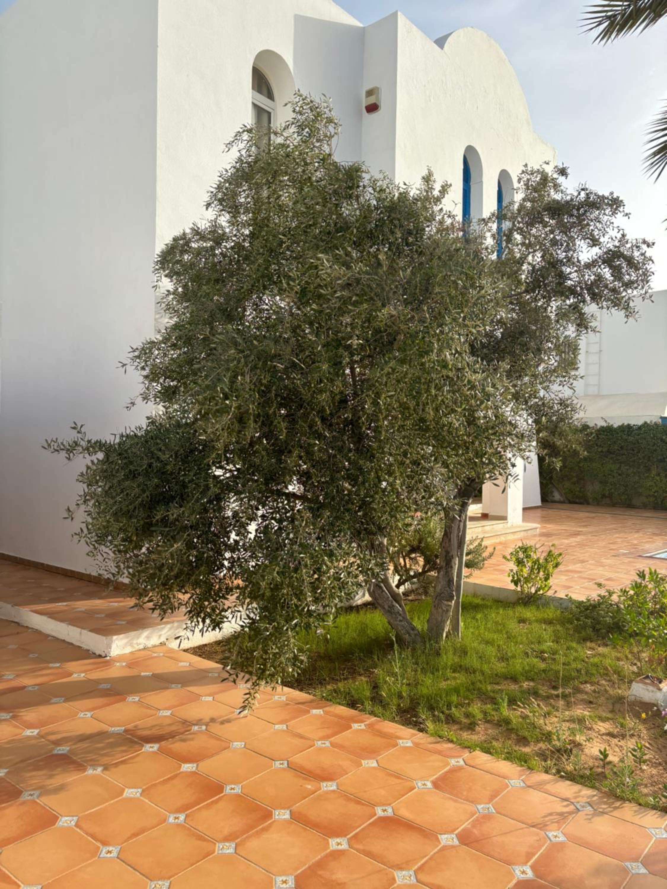 Photo 22