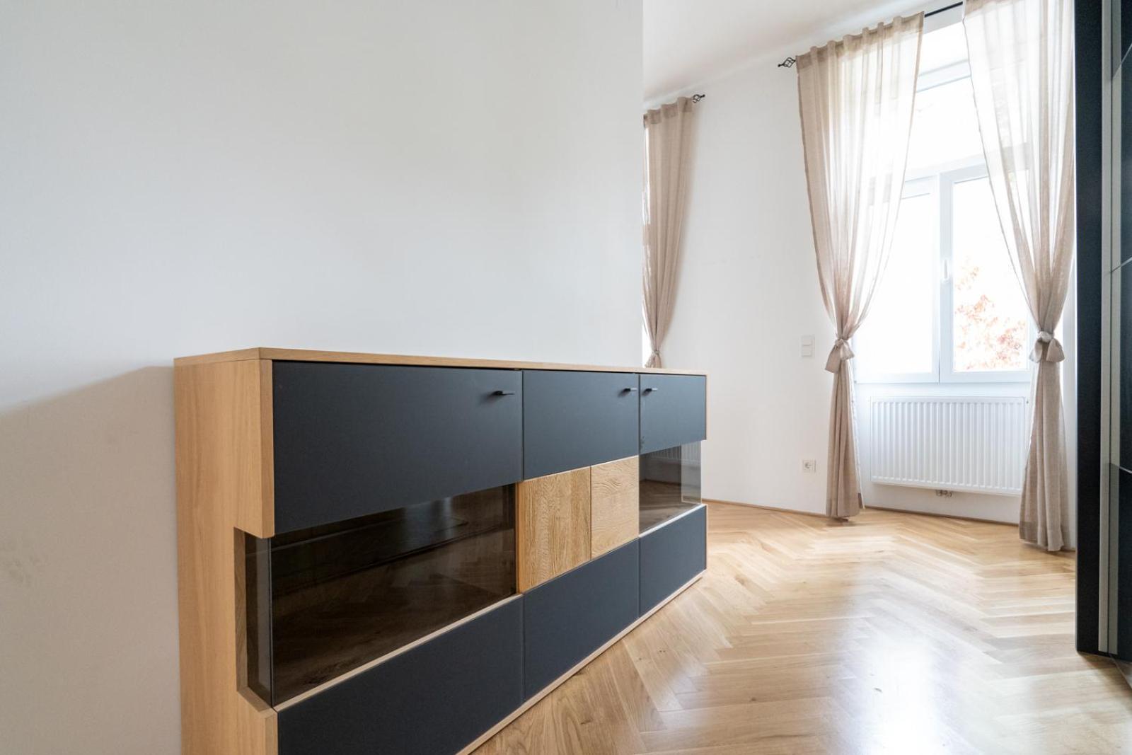 Luxurious Viennese Old Style Apartment