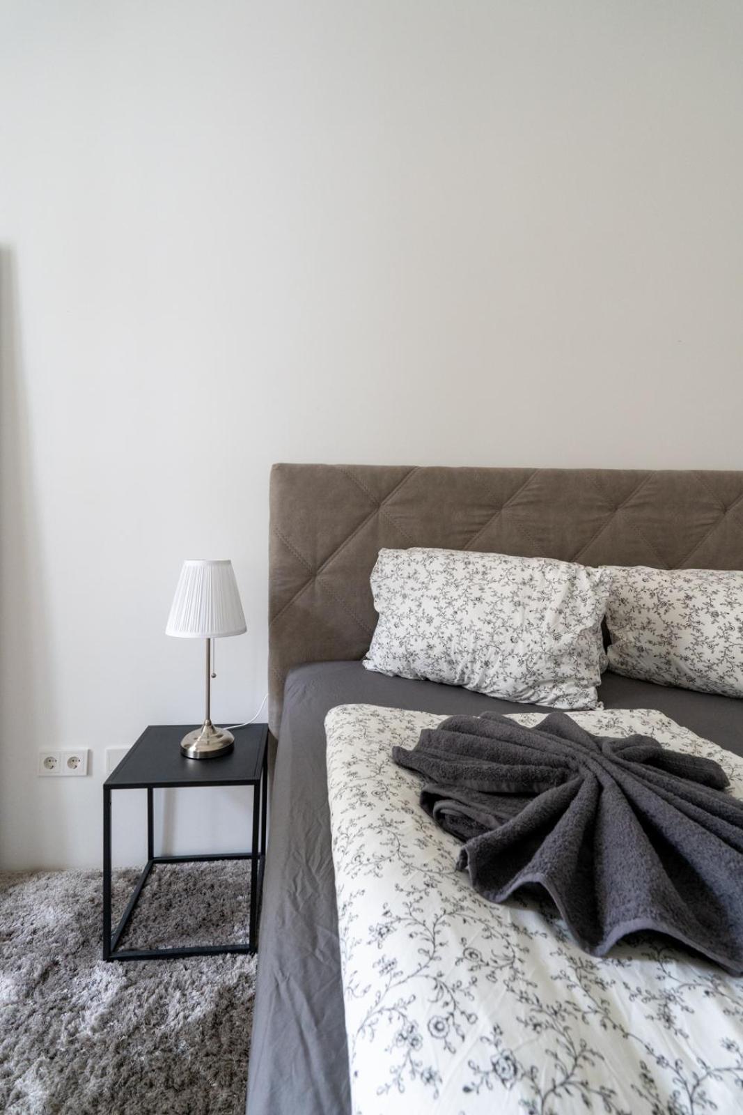Luxurious Viennese Old Style Apartment