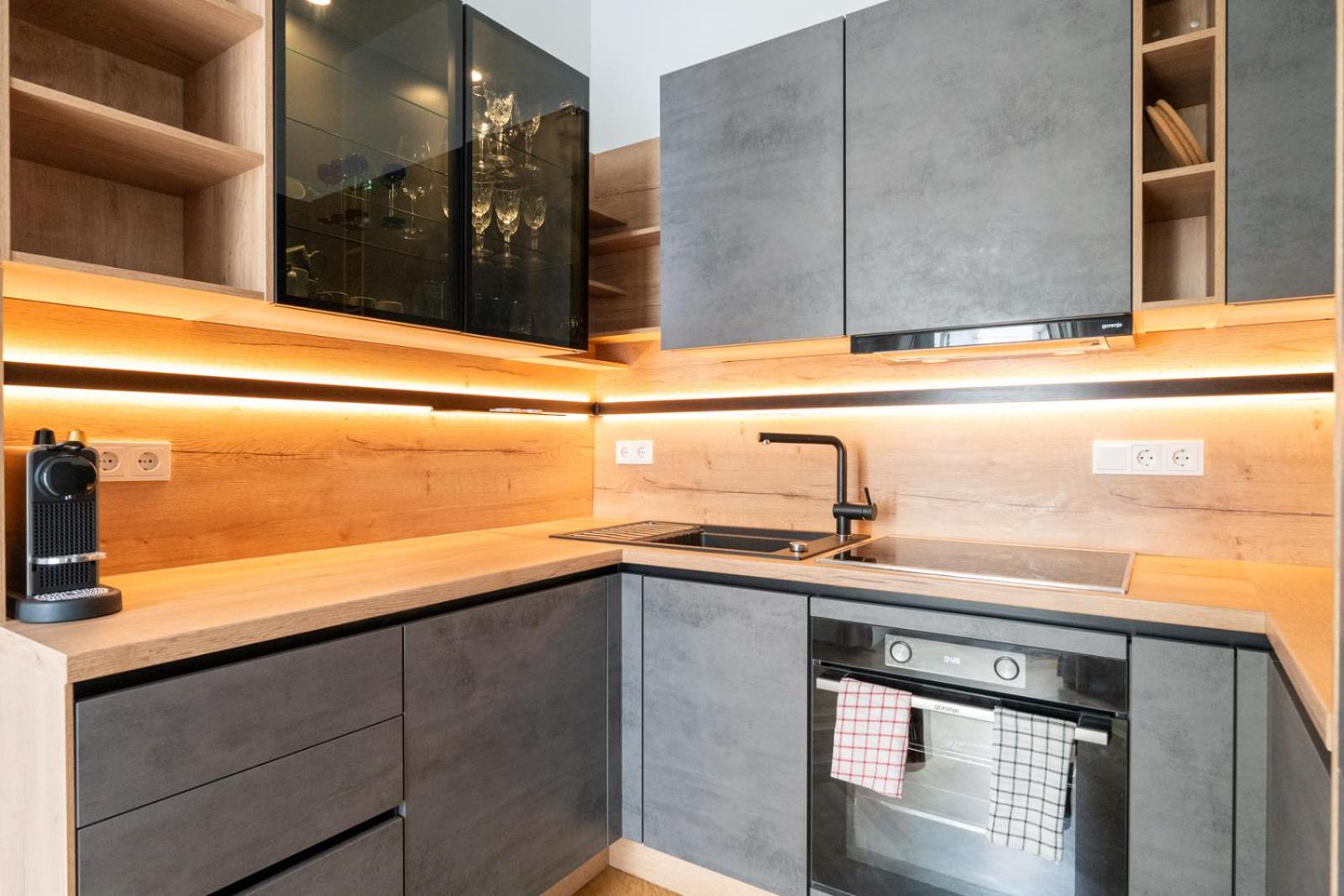 Luxurious Viennese Old Style Apartment
