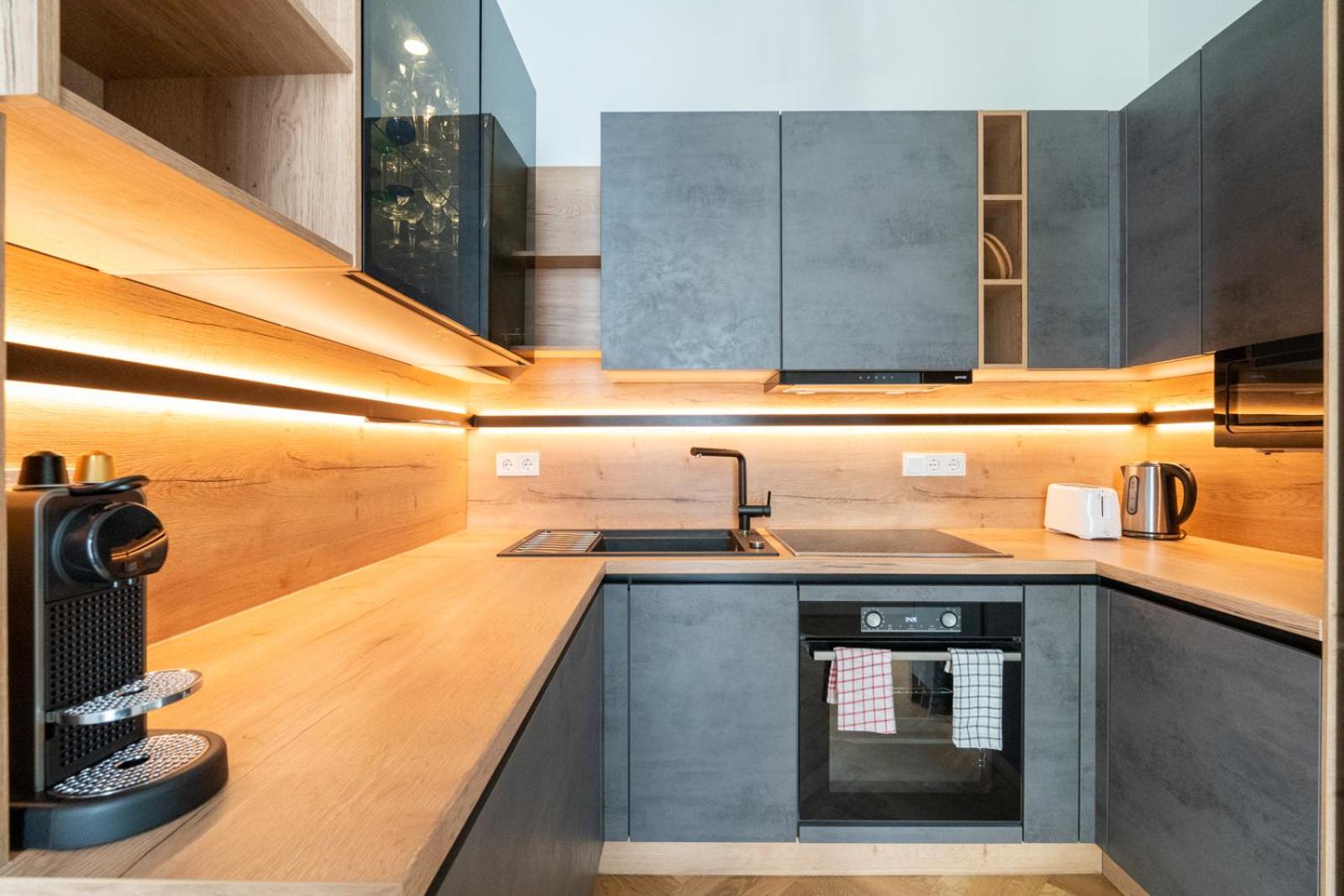 Luxurious Viennese Old Style Apartment