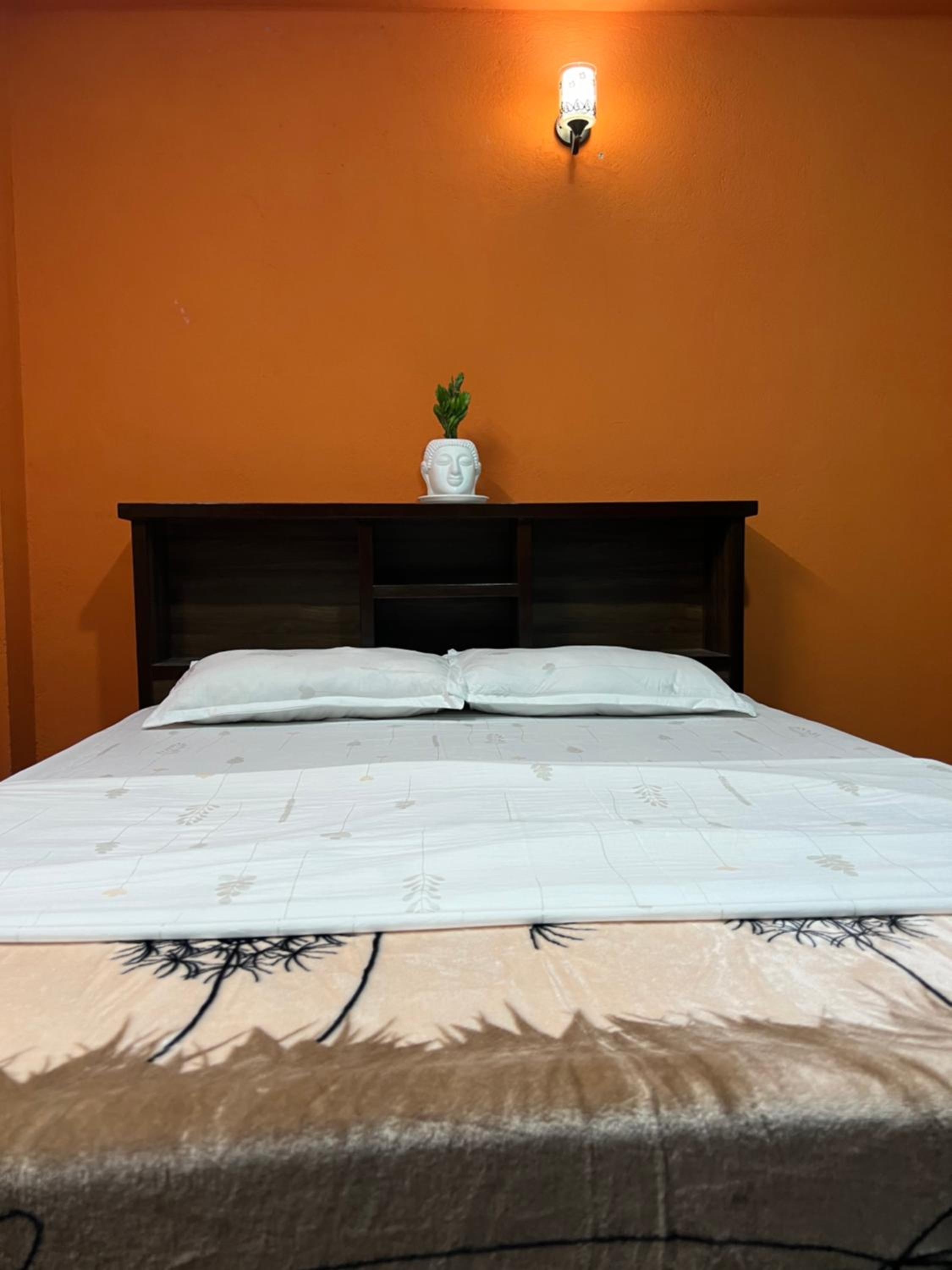 Danda Pari Homestay view 5