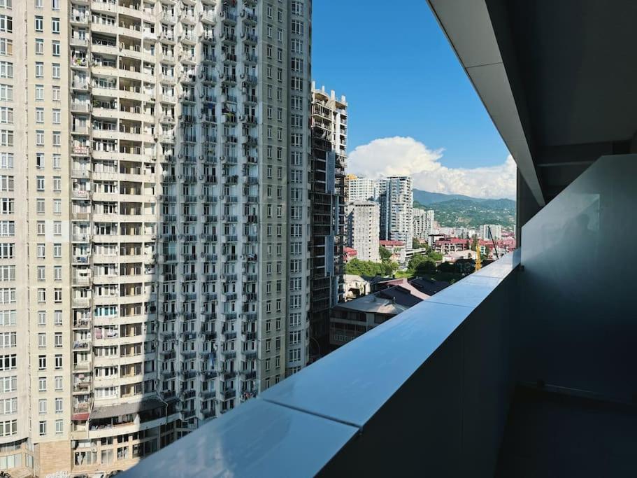 Alliance Burgundy 8th floor view 4