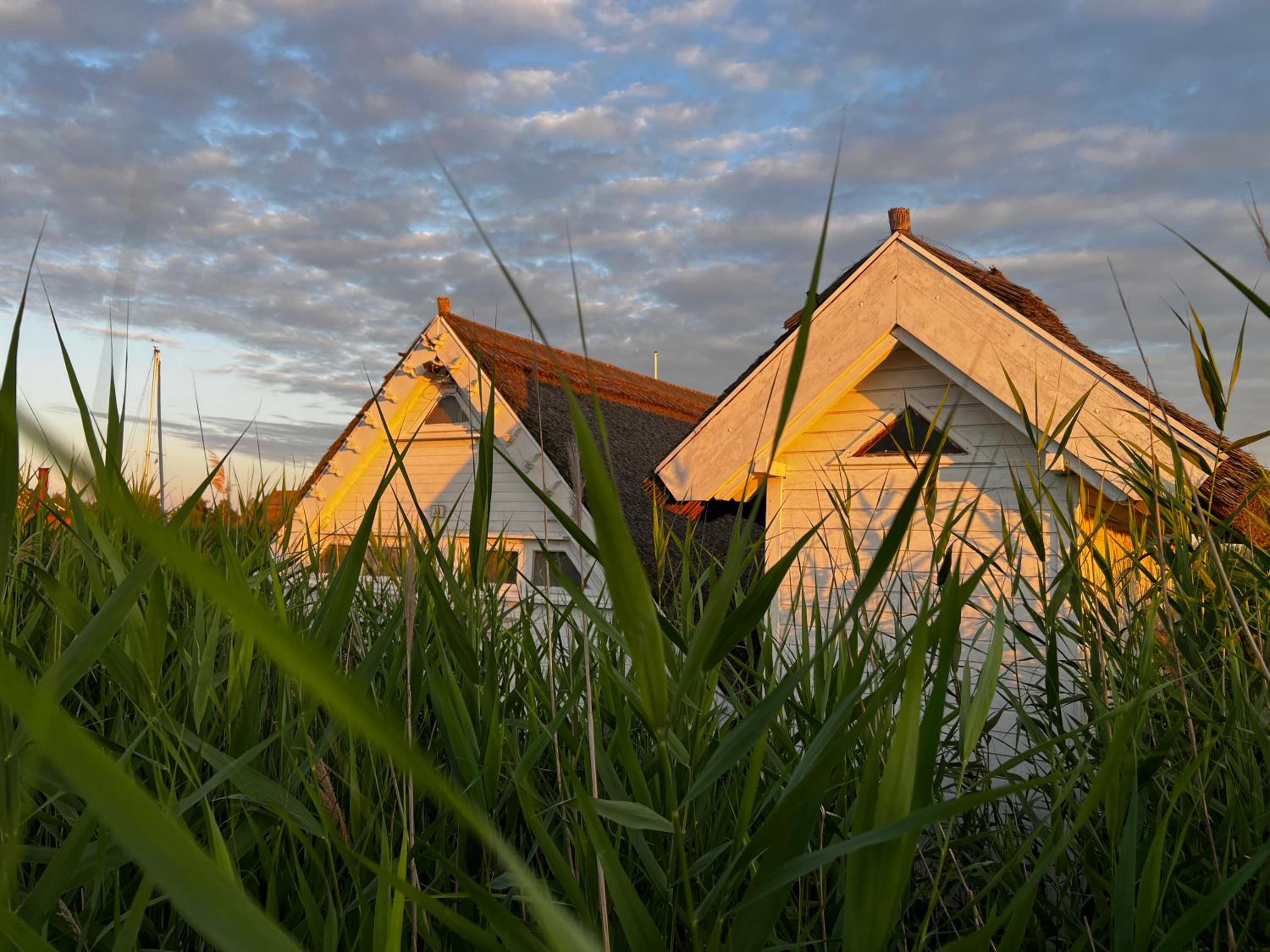 Seehütte Neusiedlersee - Seehaus inklusive Elektroboot
