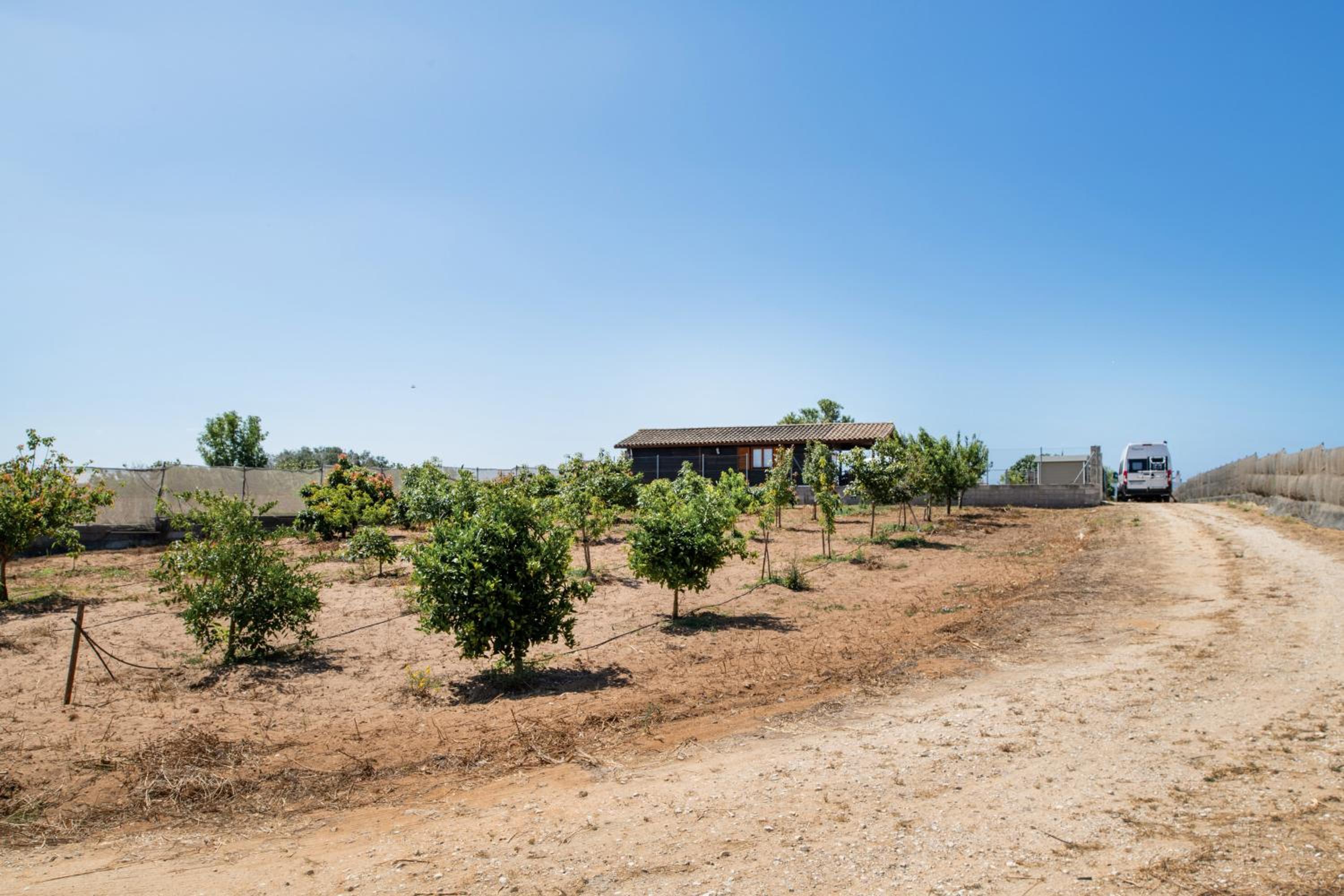 Casa Aguacate Solo Familias