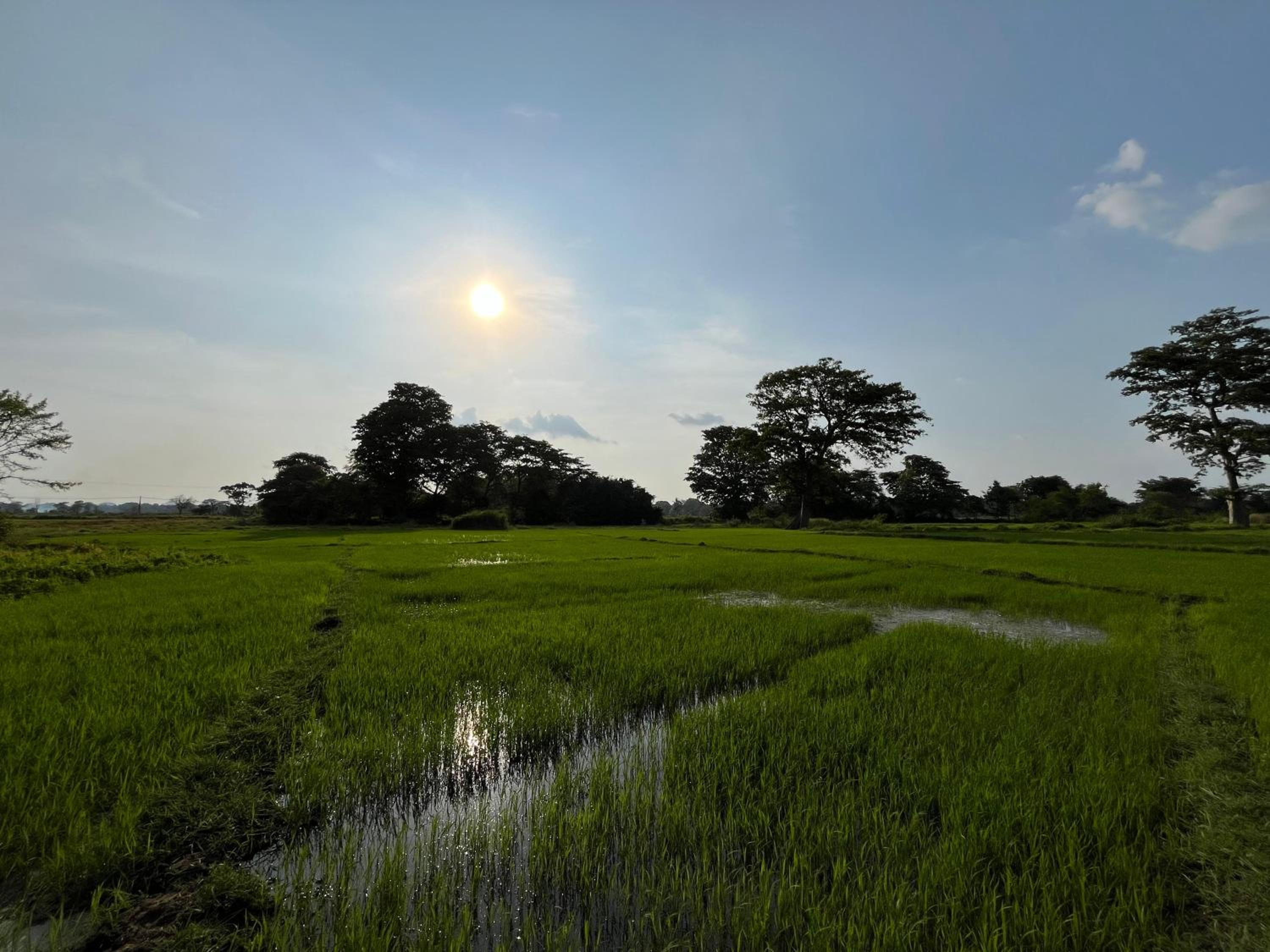 Paarvie Sigiriya