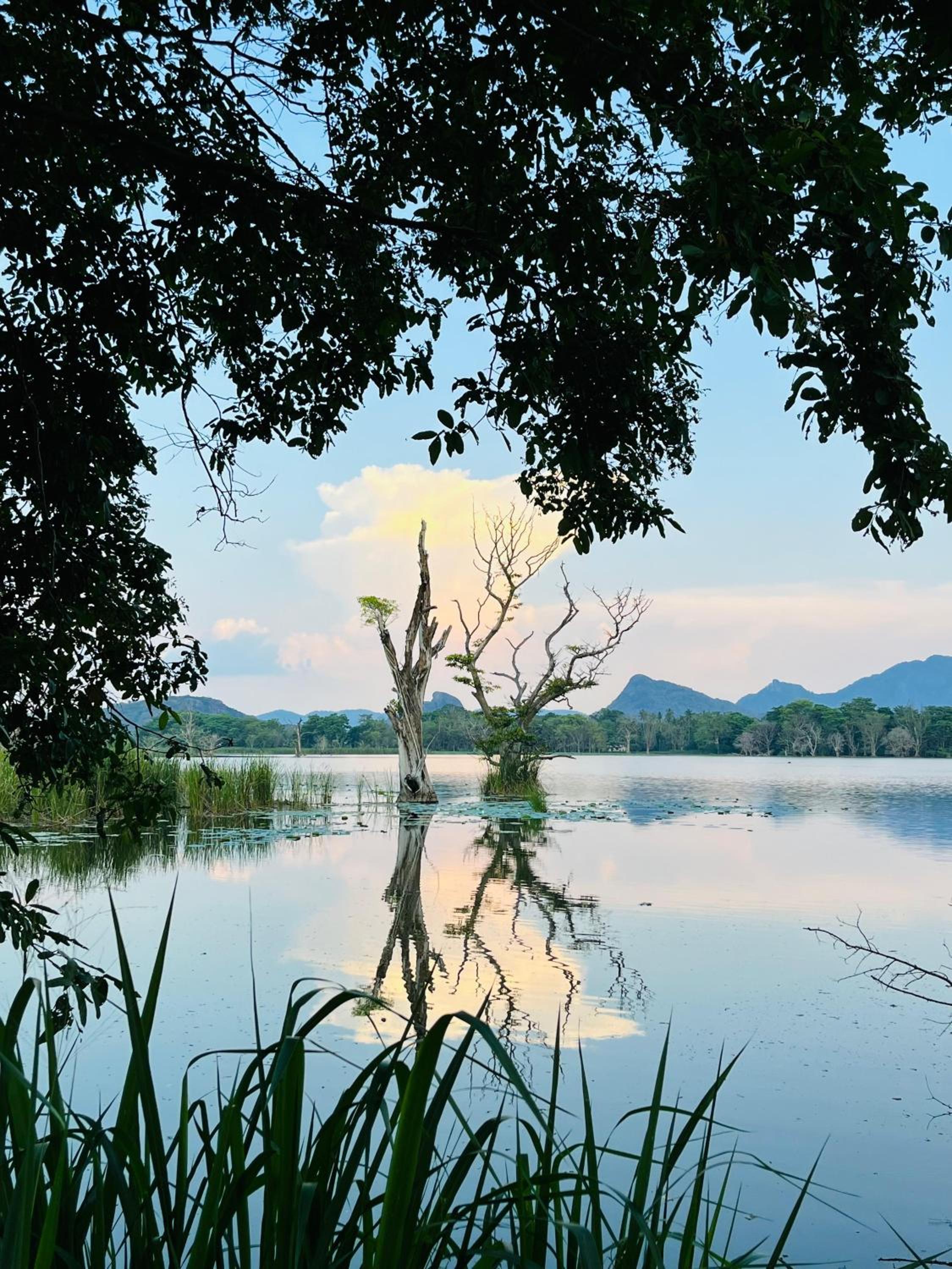 Paarvie Sigiriya