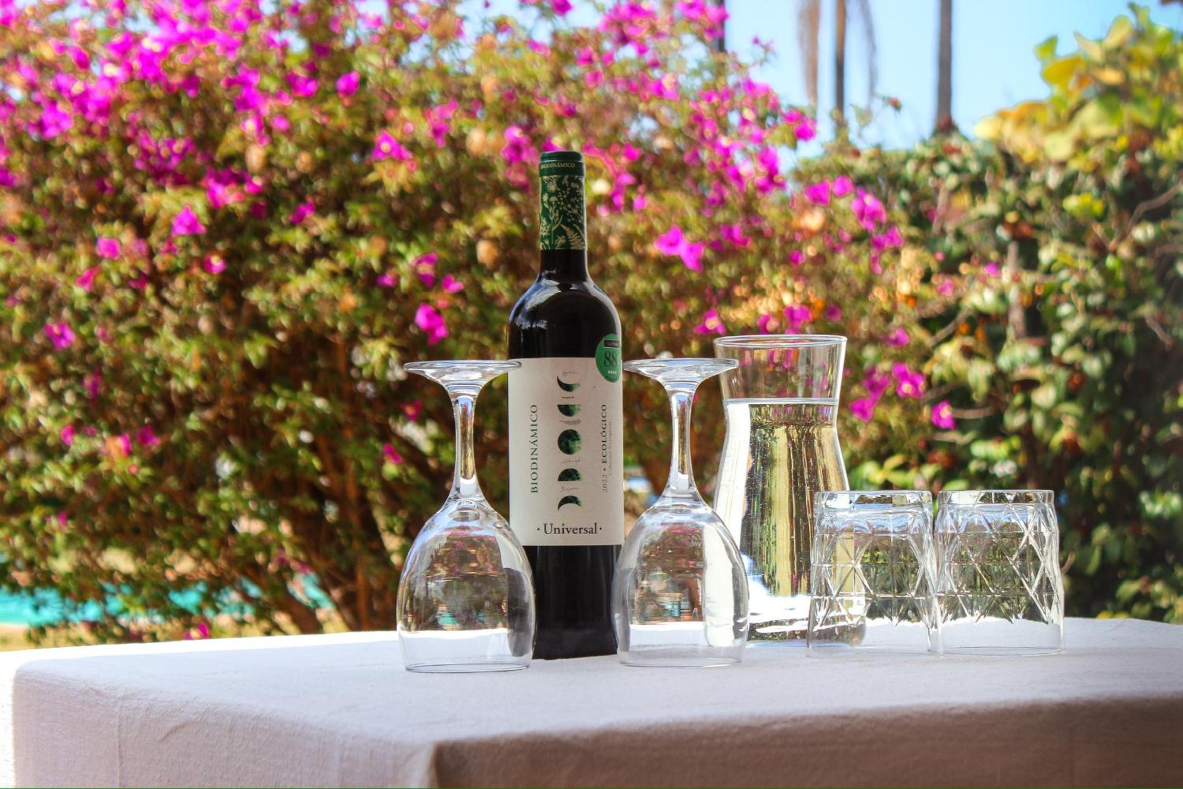 Villa Finca El Drago