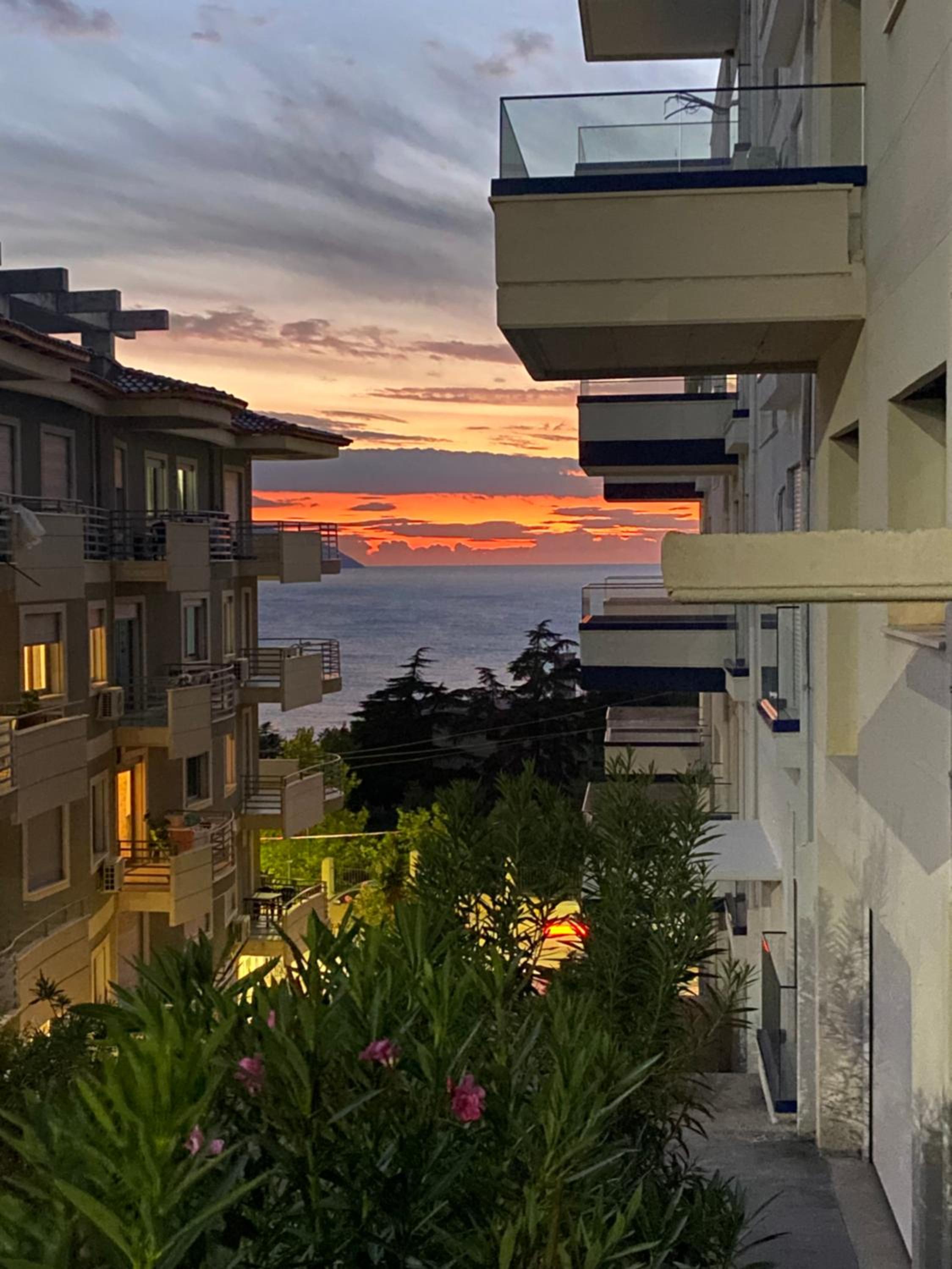 Liv Apartments 3