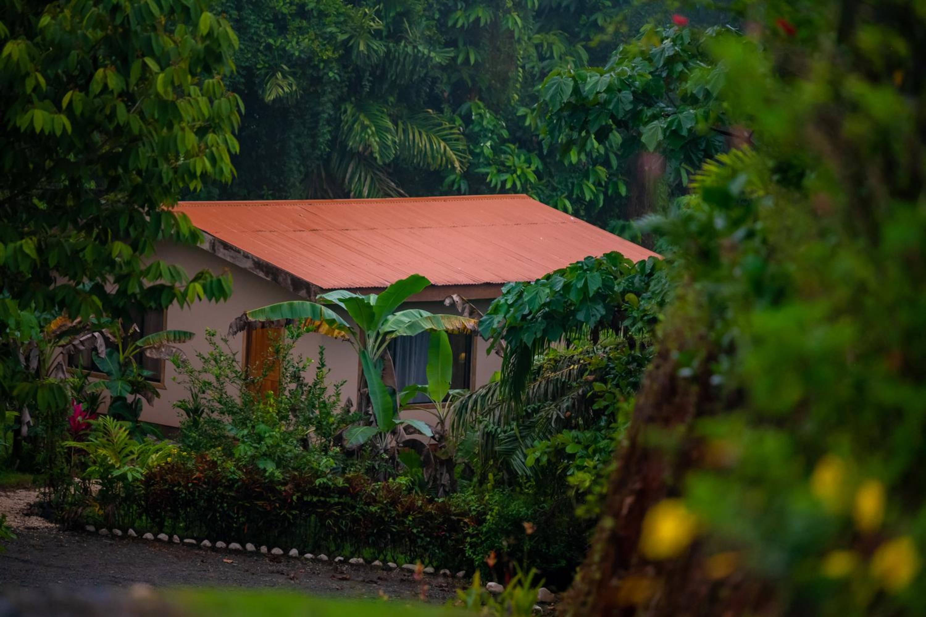 Corcovado Great Villas-pool-jacuzzi-amazing views