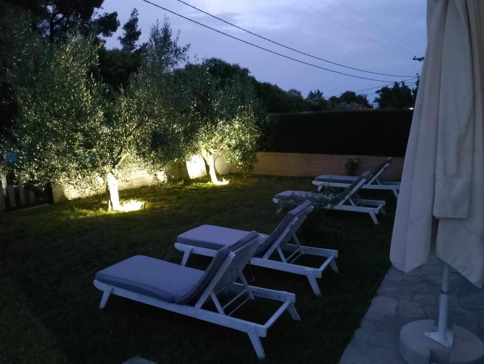 Alexandra's garden