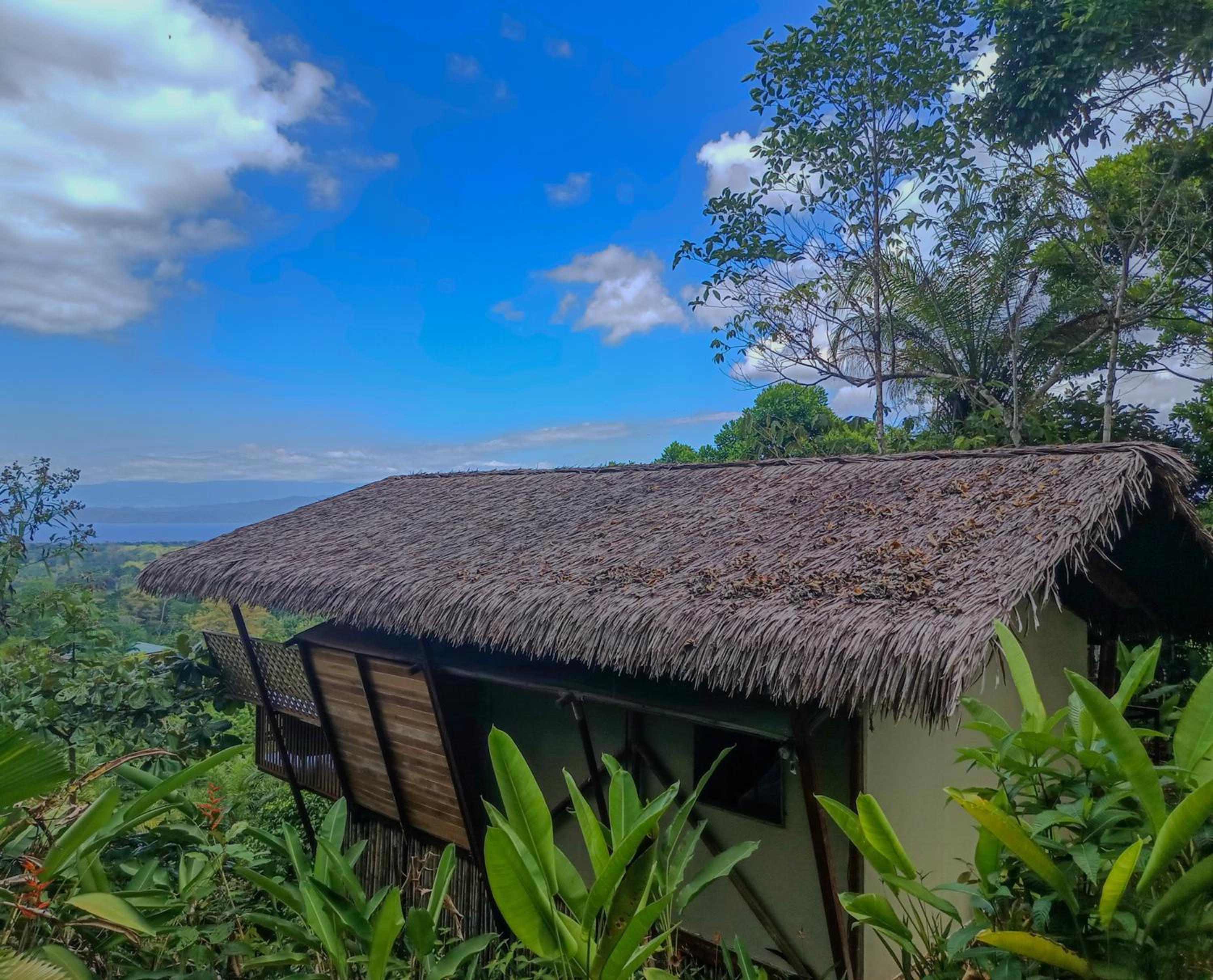 Corcovado Great Villas-pool-jacuzzi-amazing views