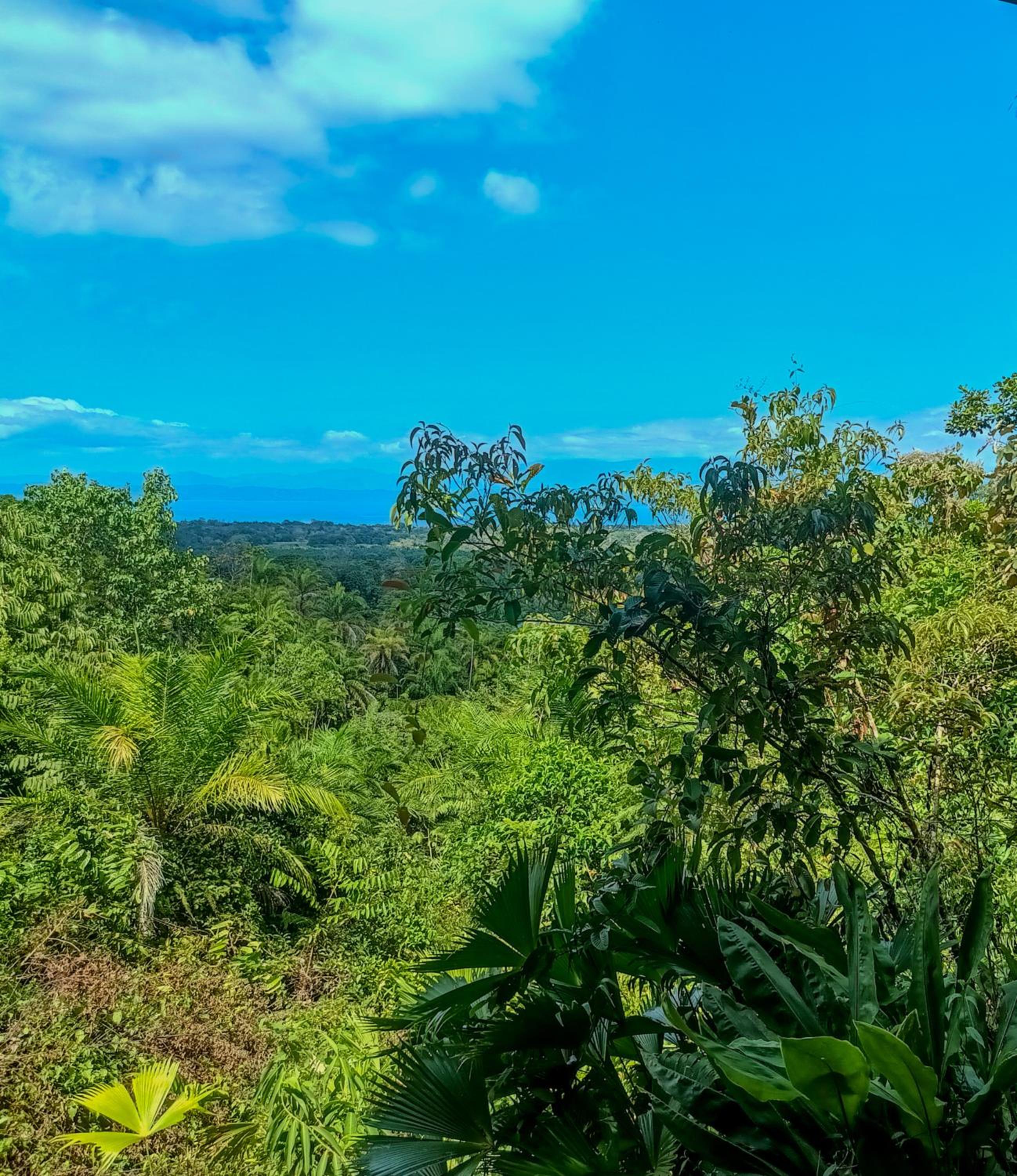 Corcovado Great Villas-pool-jacuzzi-amazing views