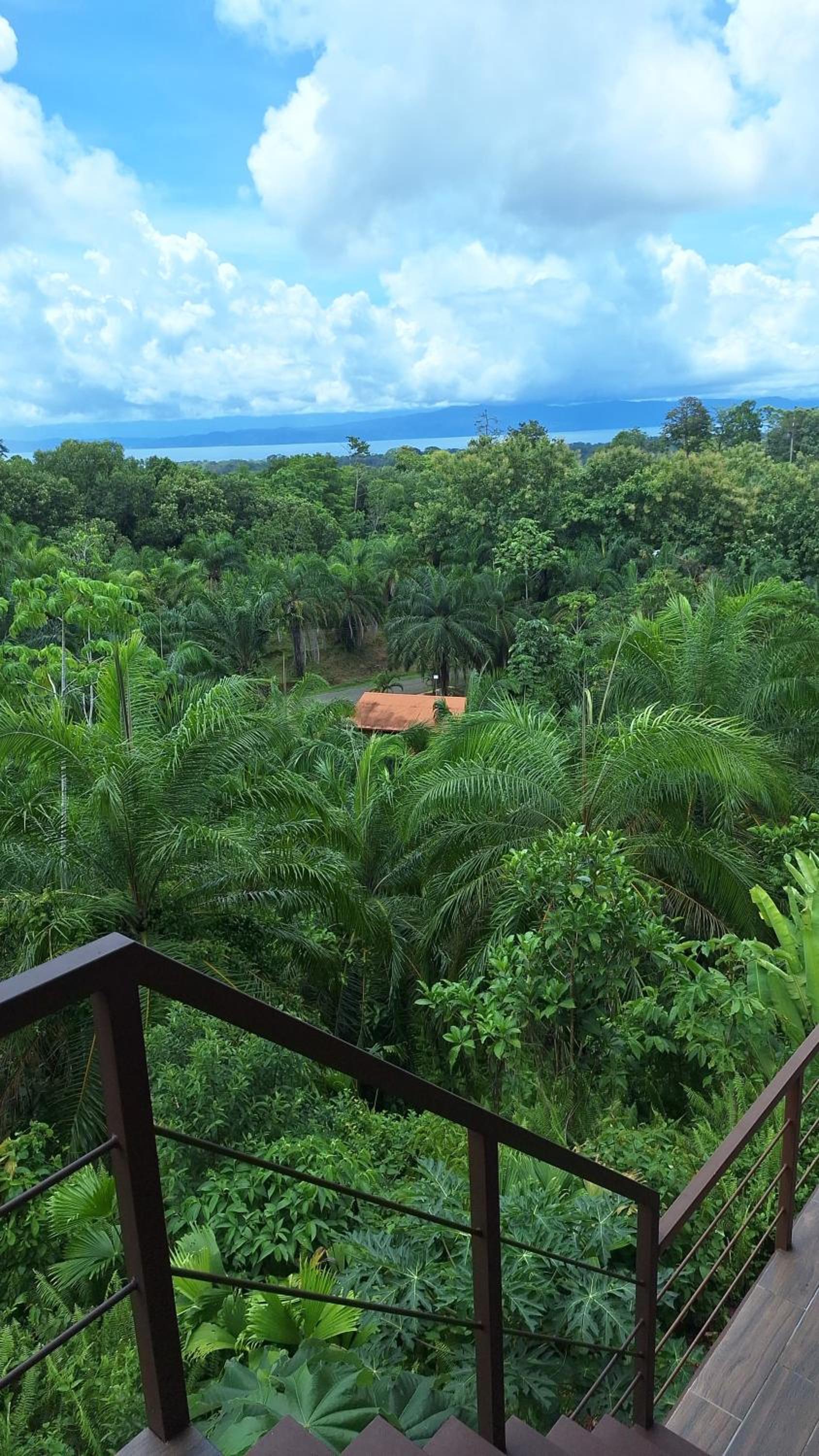 Corcovado Great Villas-pool-jacuzzi-amazing views