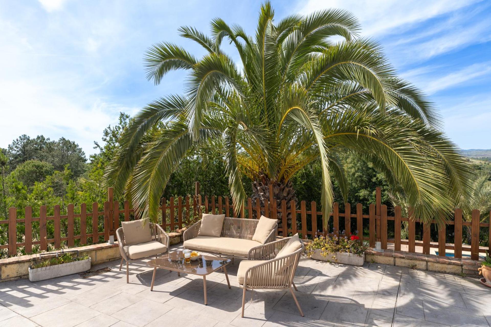 Brisas Del Palmeral