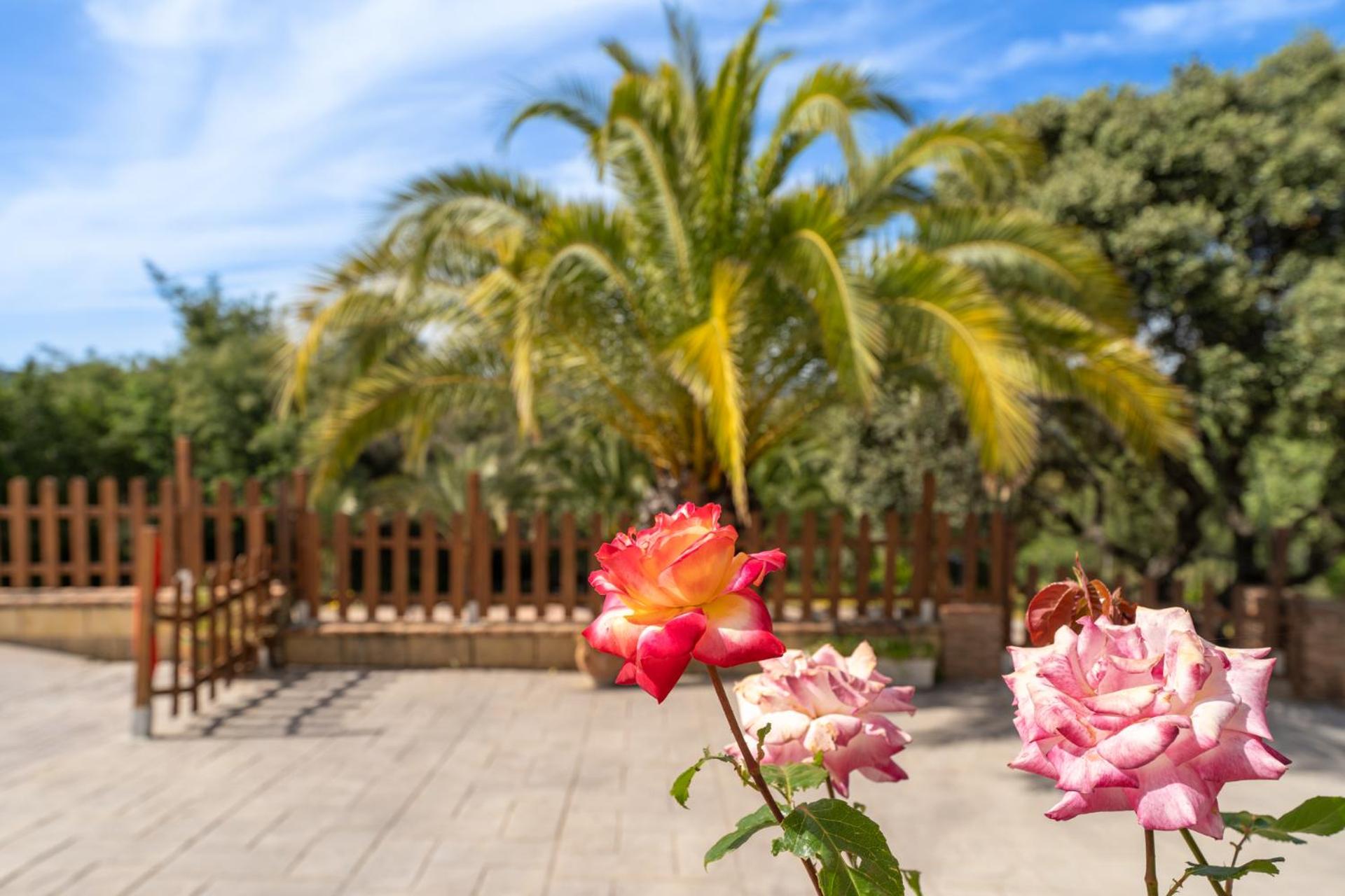 Brisas Del Palmeral
