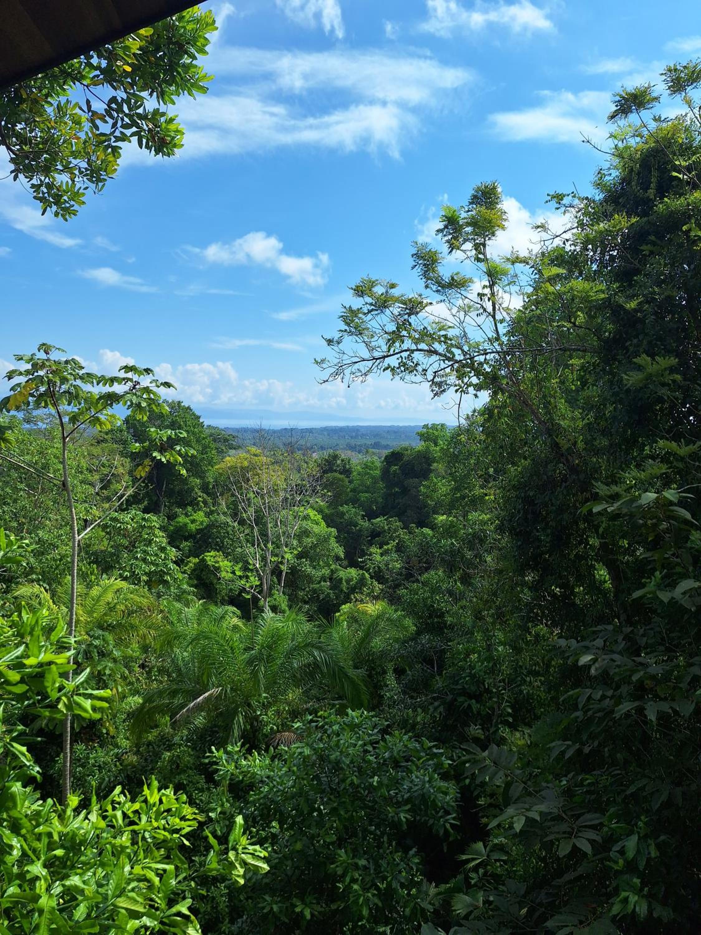 Corcovado Great Villas-pool-jacuzzi-amazing views