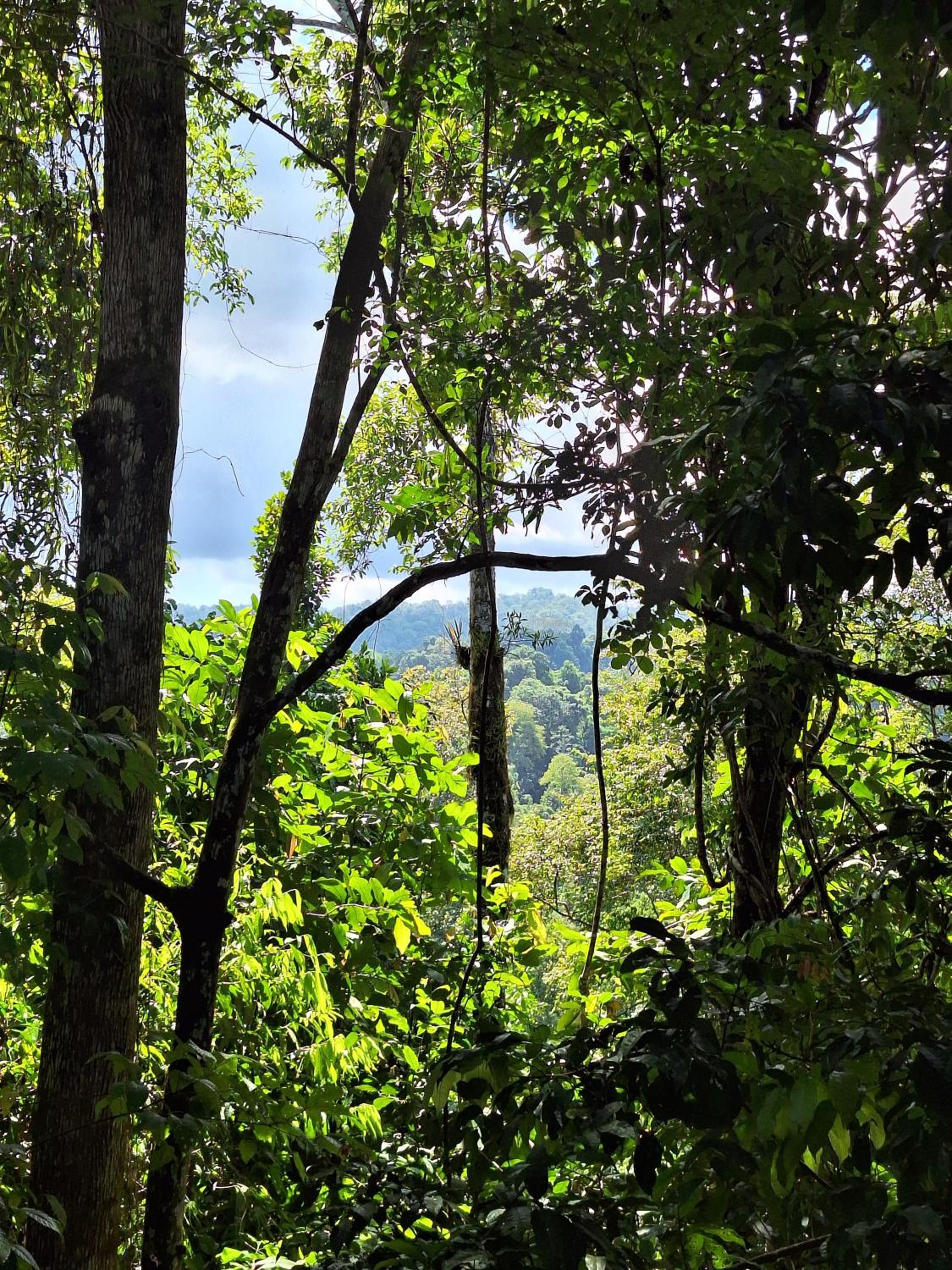 Corcovado Great Villas-pool-jacuzzi-amazing views
