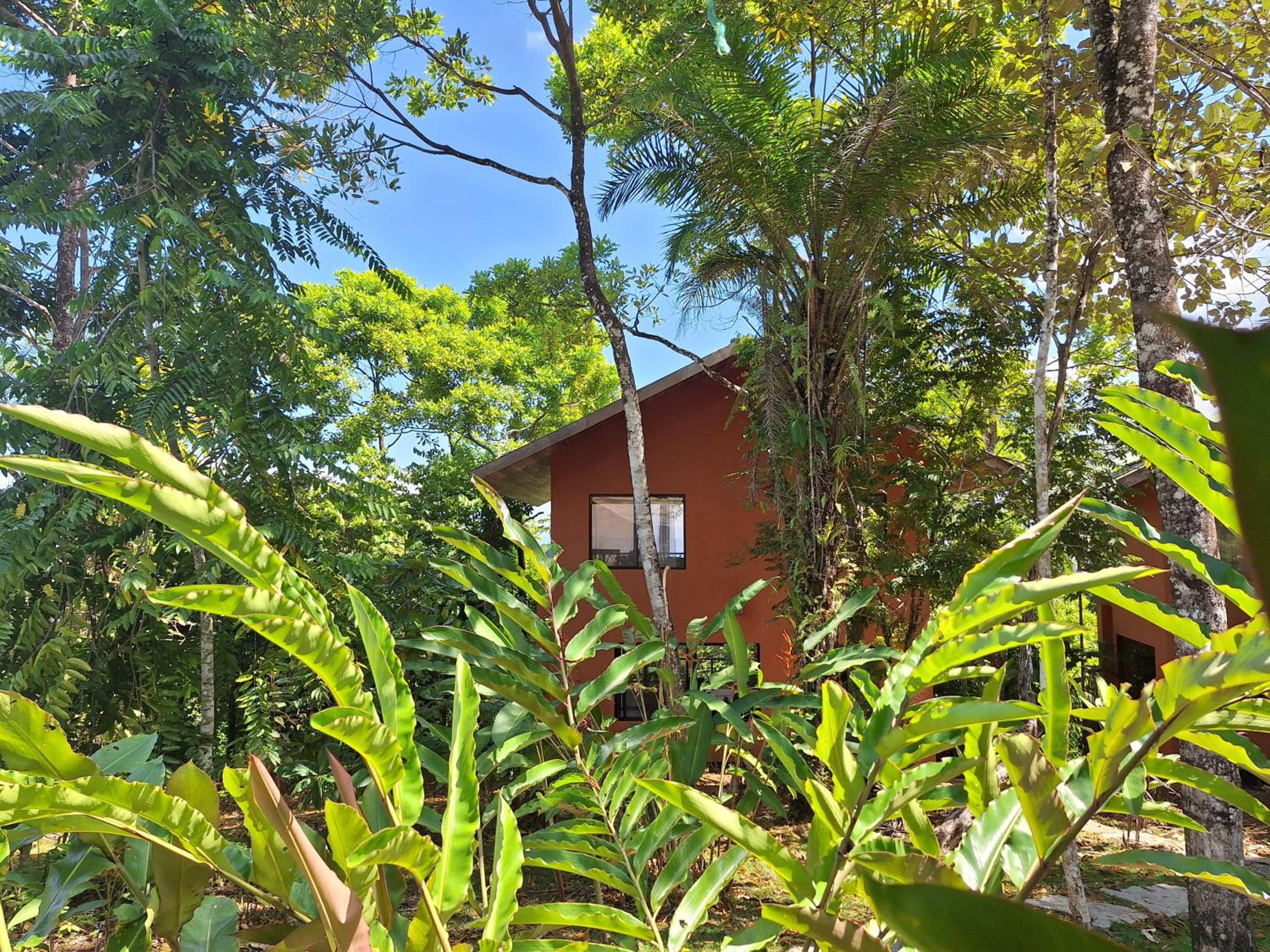 Corcovado Great Villas-pool-jacuzzi-amazing views