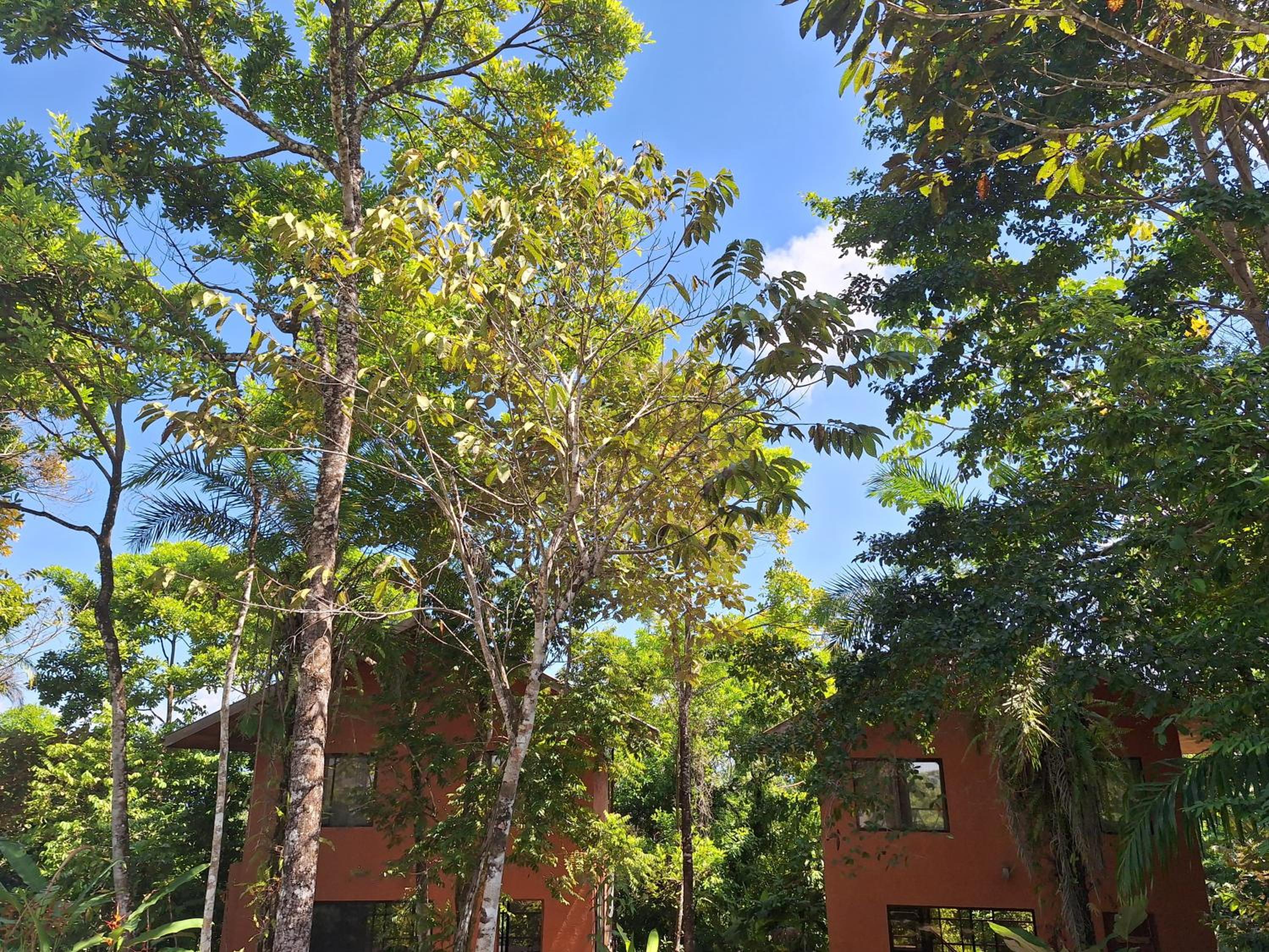 Corcovado Great Villas-pool-jacuzzi-amazing views