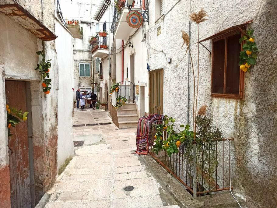 Amazing Gargano